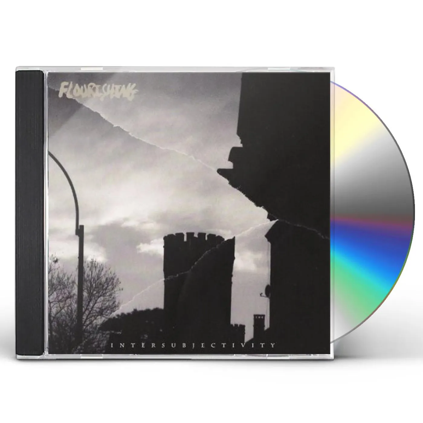 Flourishing INTERSUBJECTIVITY CD