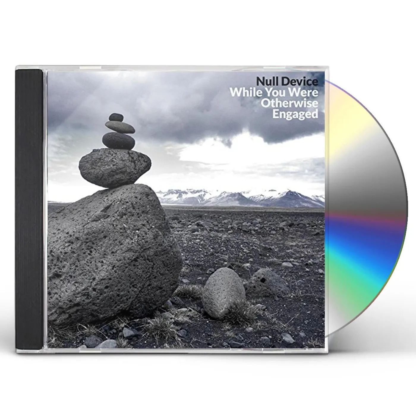 Null Device WHILE YOU WERE OTHERWISE ENGAGED CD