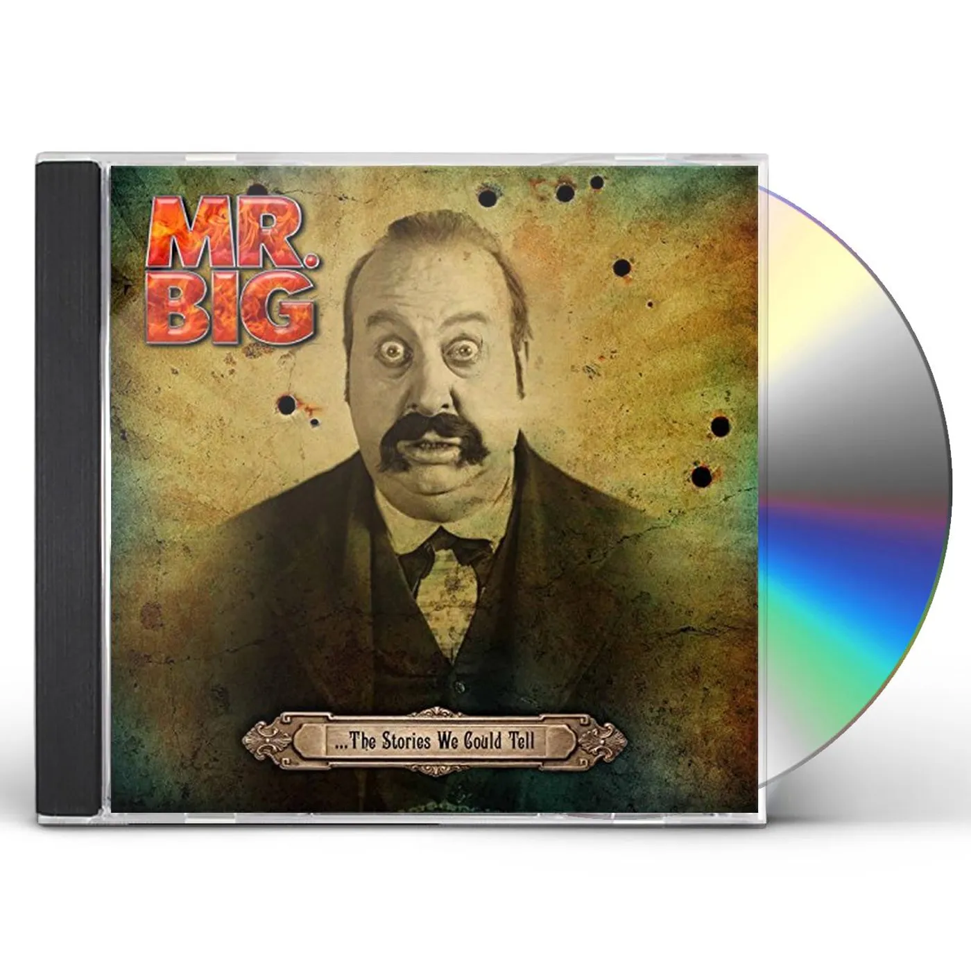 Mr. Big STORIES WE COULD TELL CD