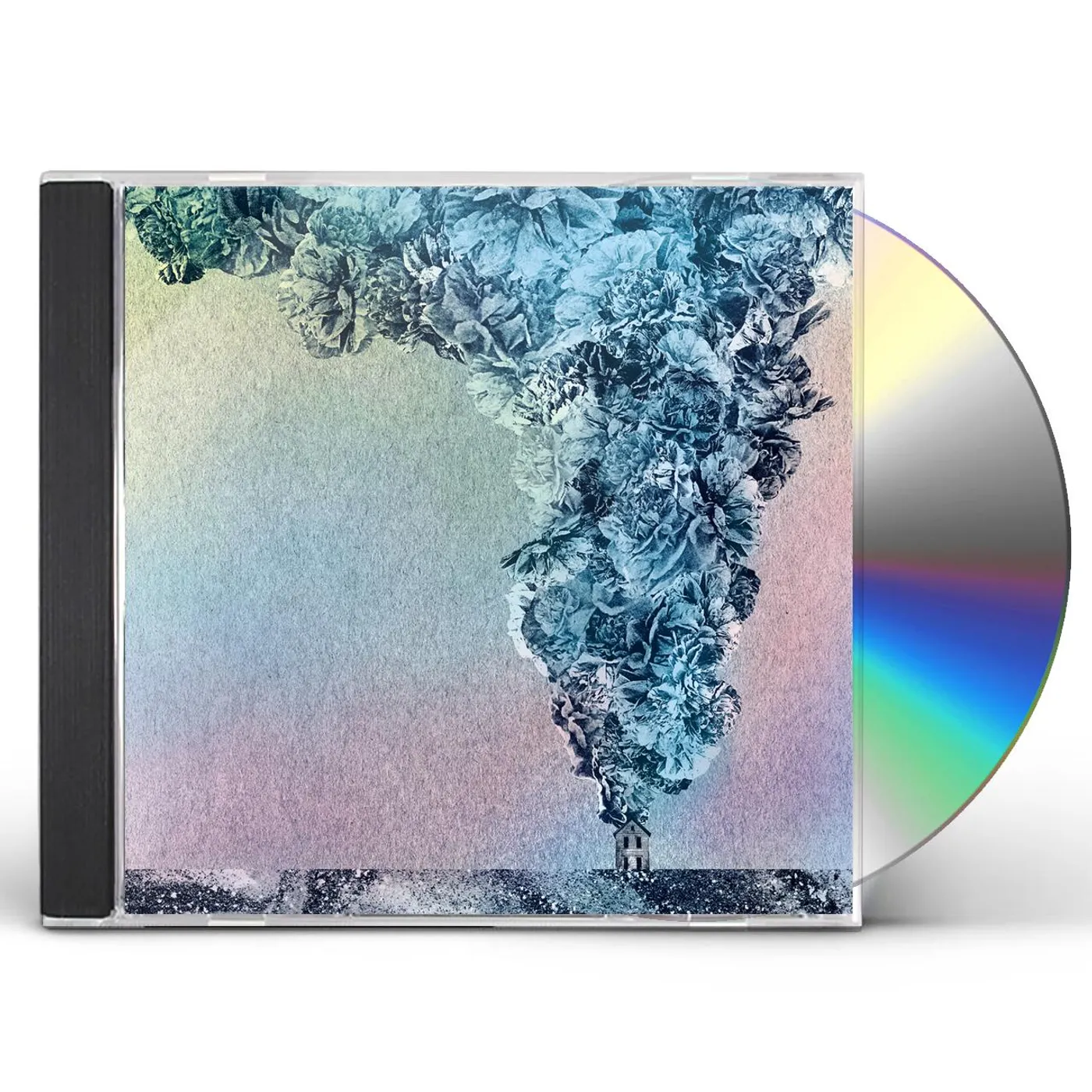 Daughn Gibson CARNATION CD