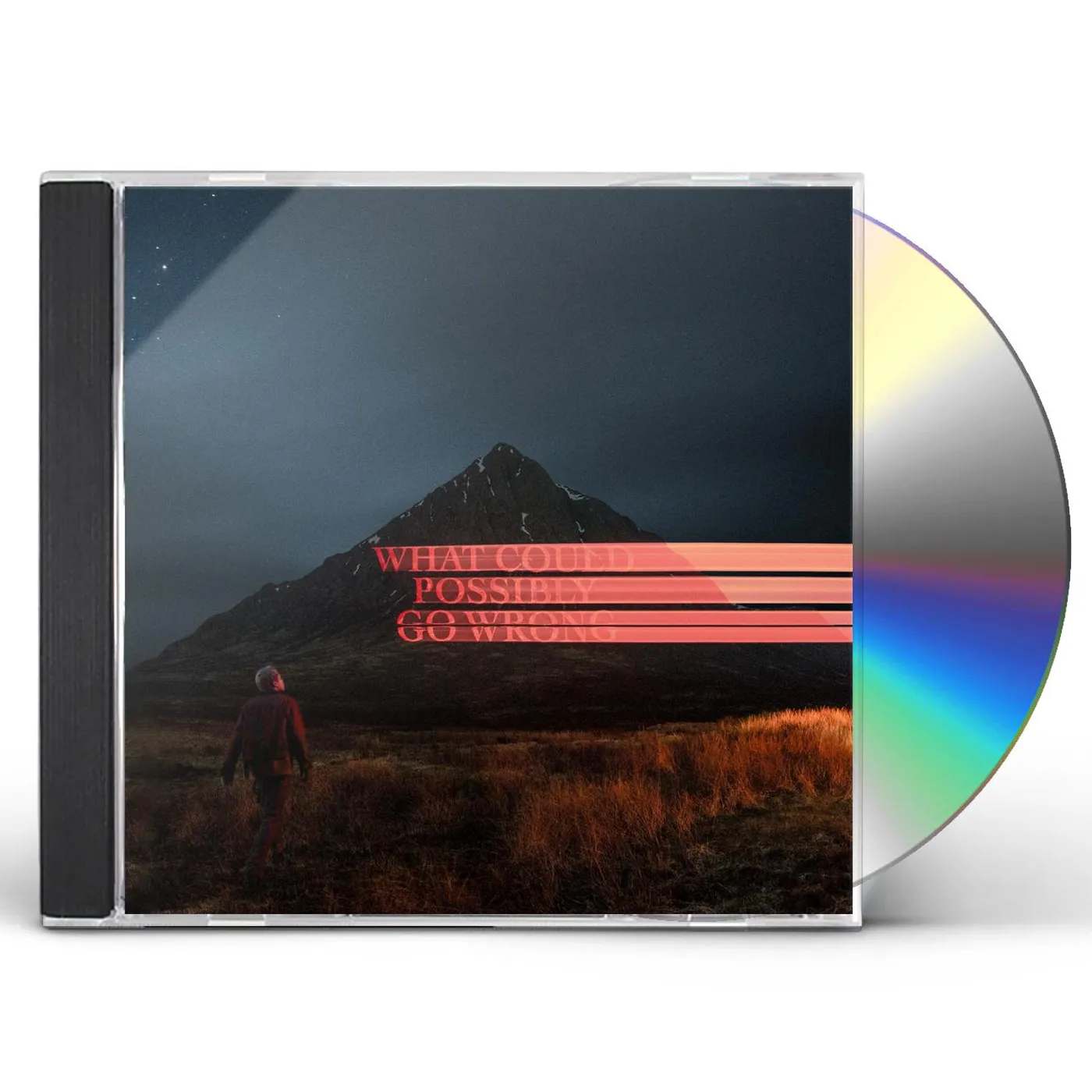 Dominic Fike WHAT COULD POSSIBLY GO WRONG (X) CD