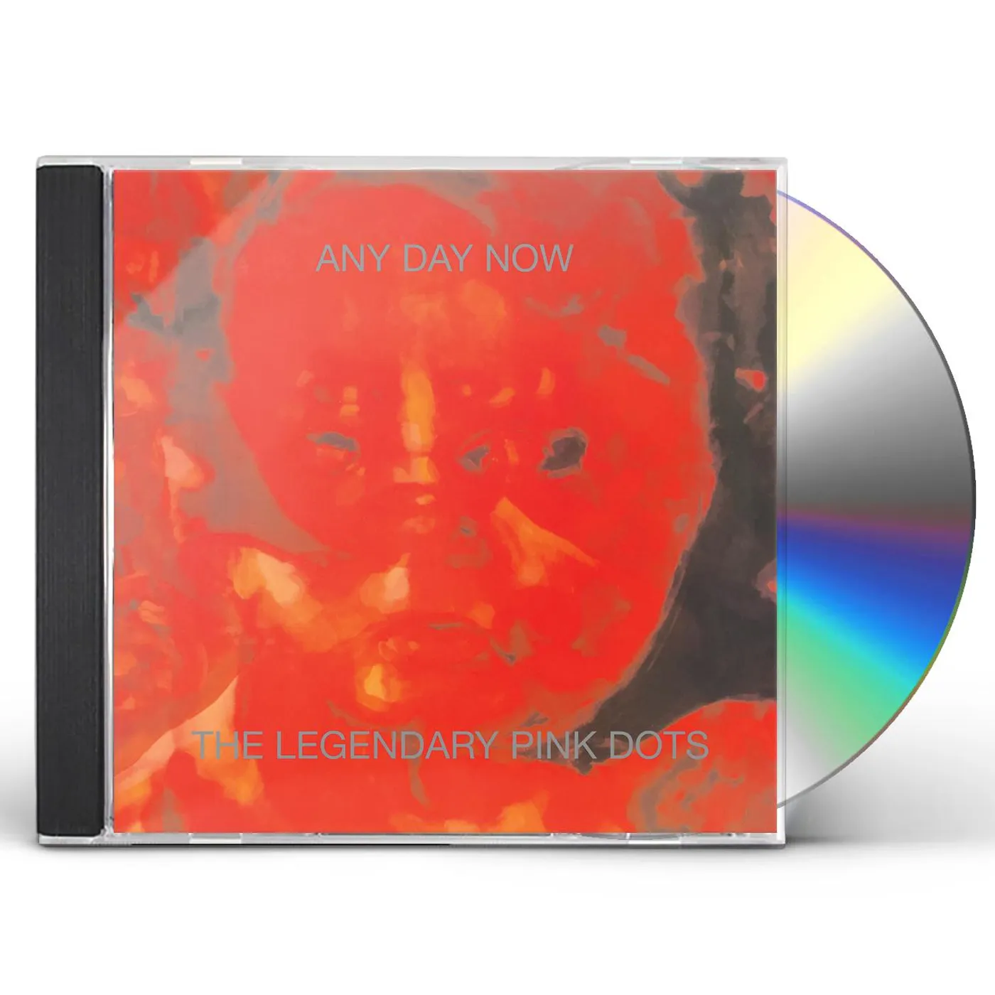 The Legendary Pink Dots ANY DAY NOW CD