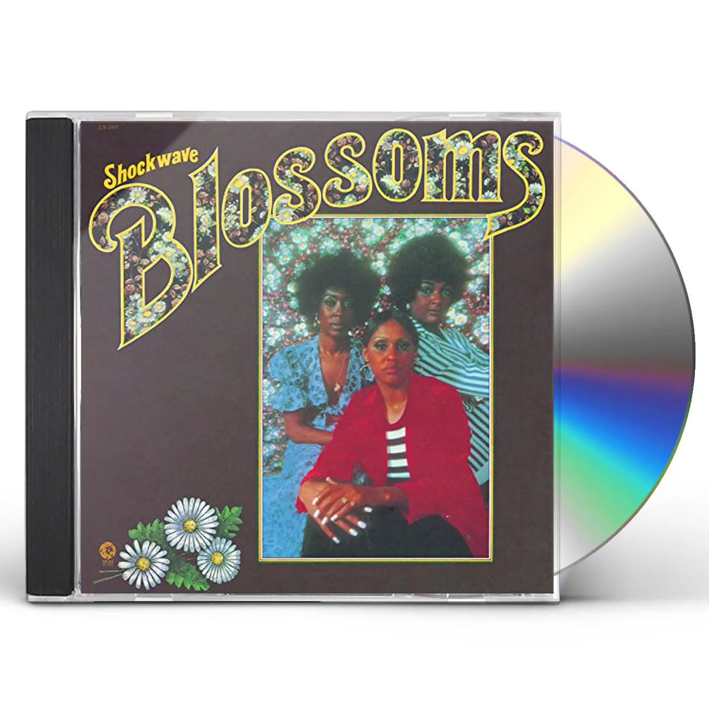 Blossoms SHOCKWAVE CD
