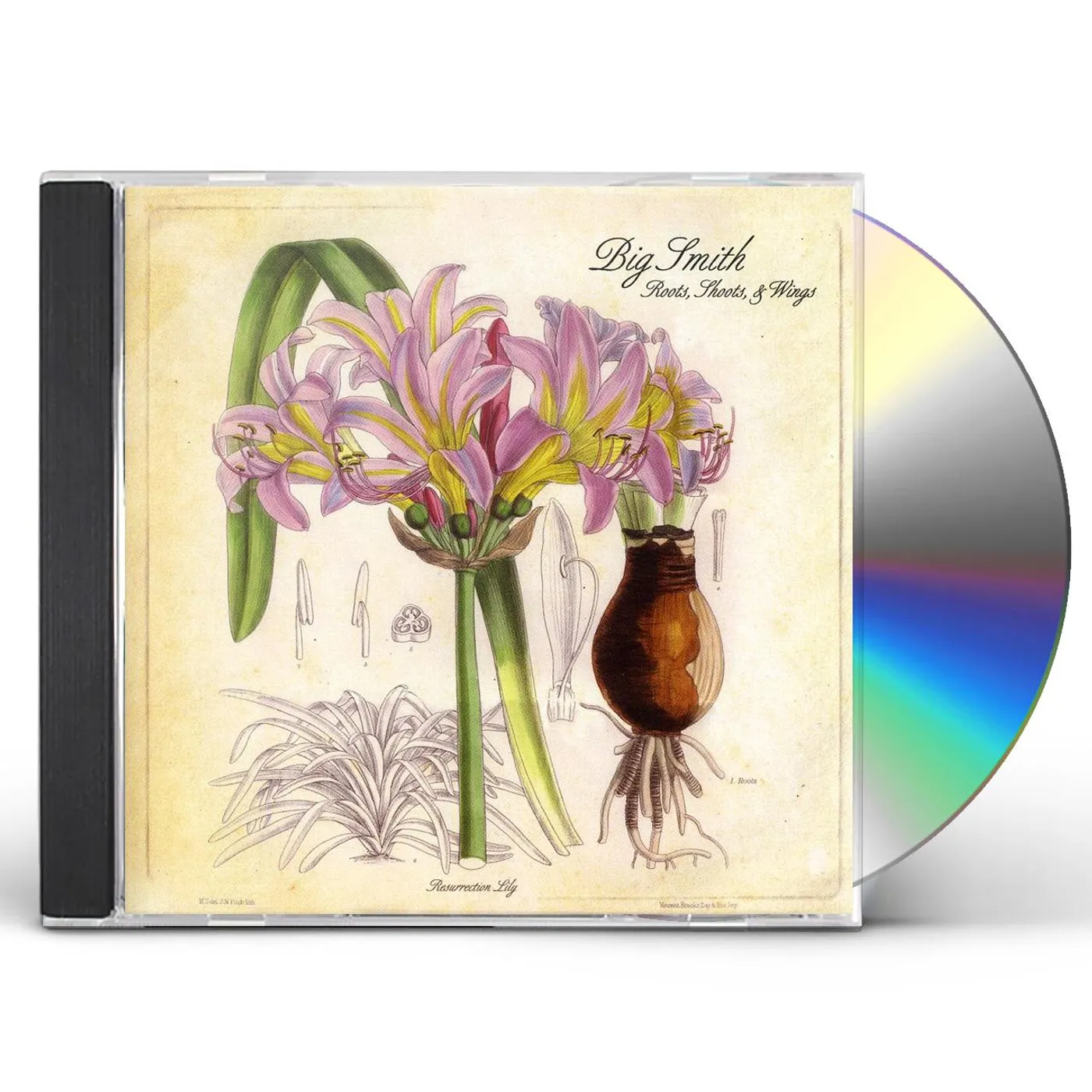 Big Smith ROOTS SHOOTS & WINGS CD