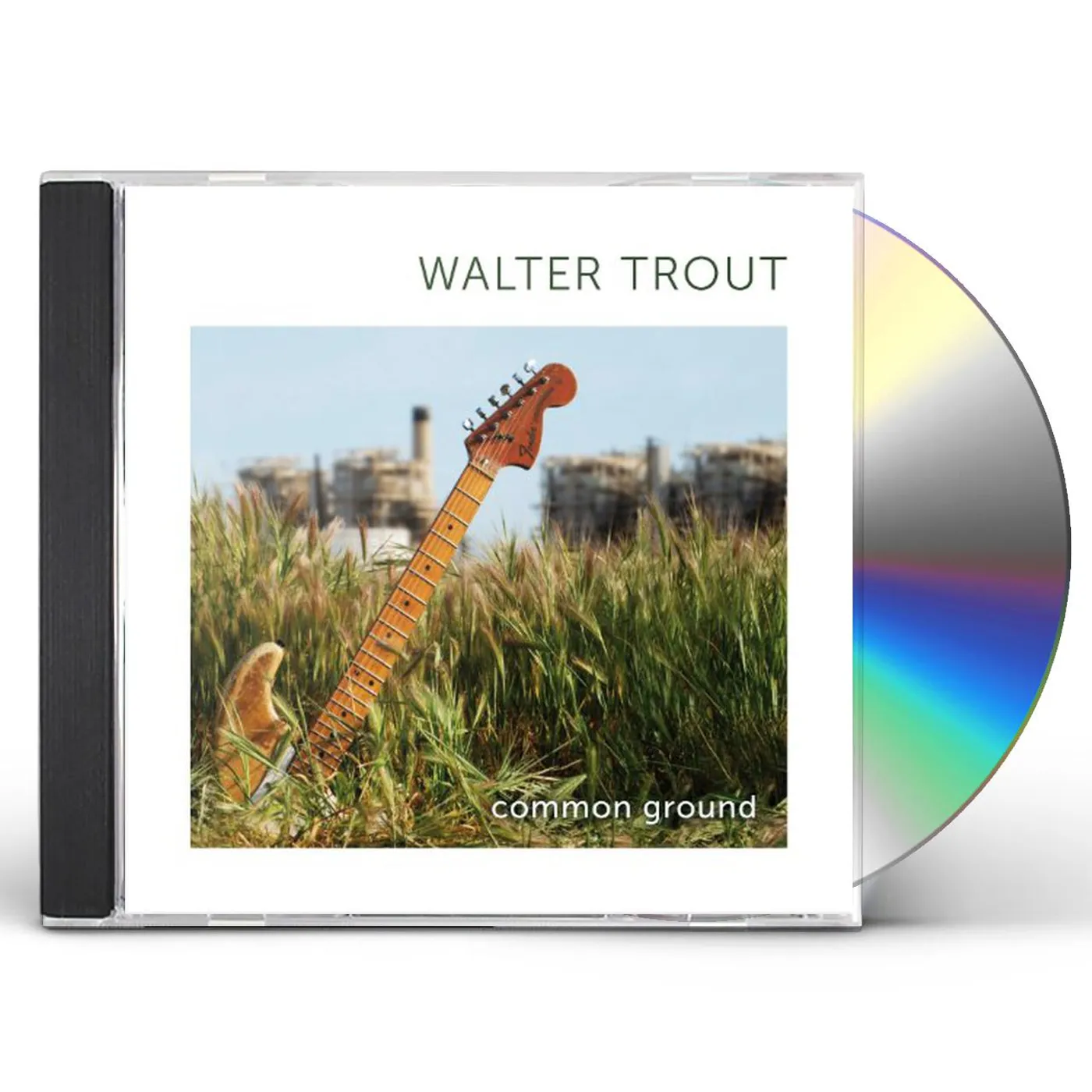 The Sweet Lillies Common Ground CD