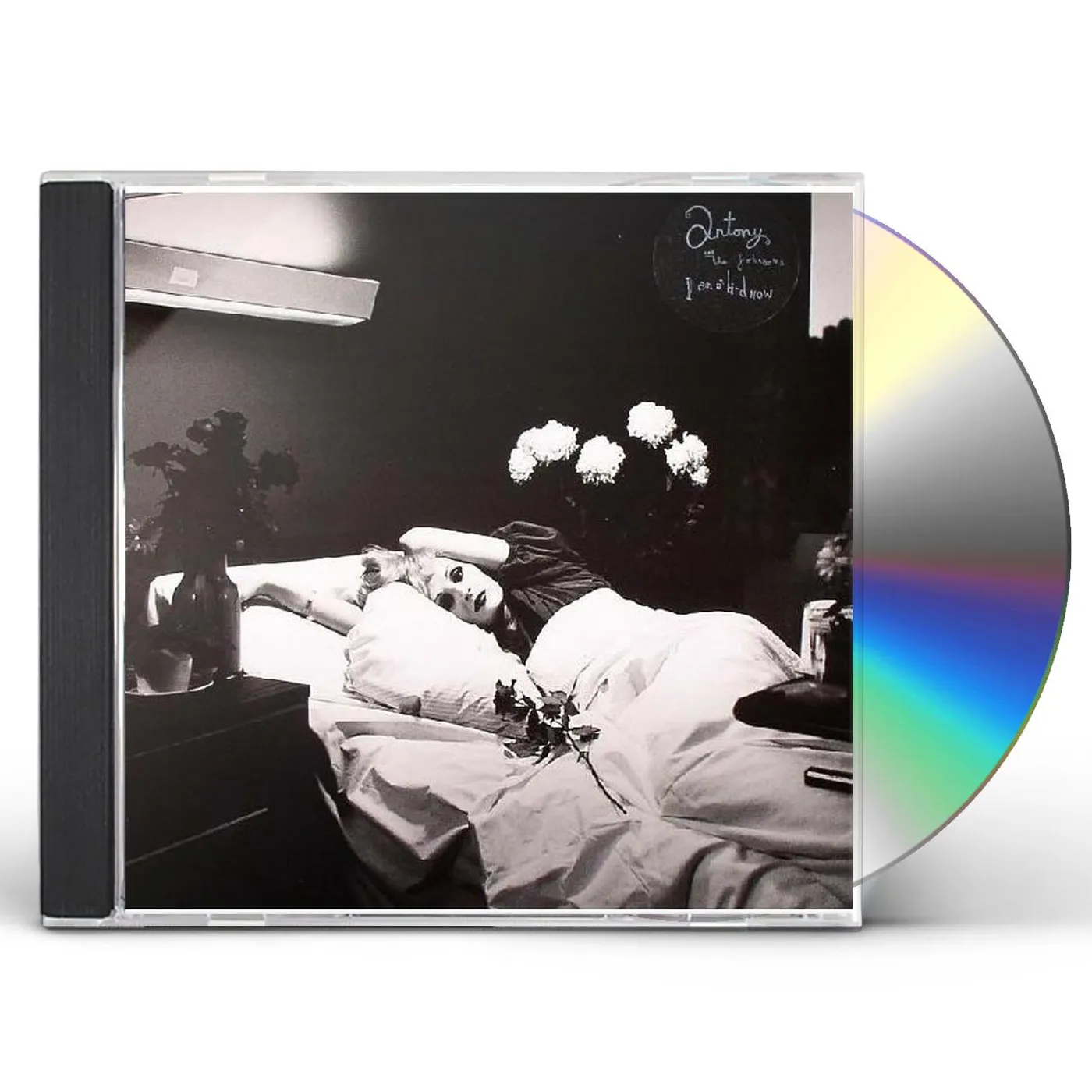 Antony and the Johnsons I AM A BIRD NOW CD