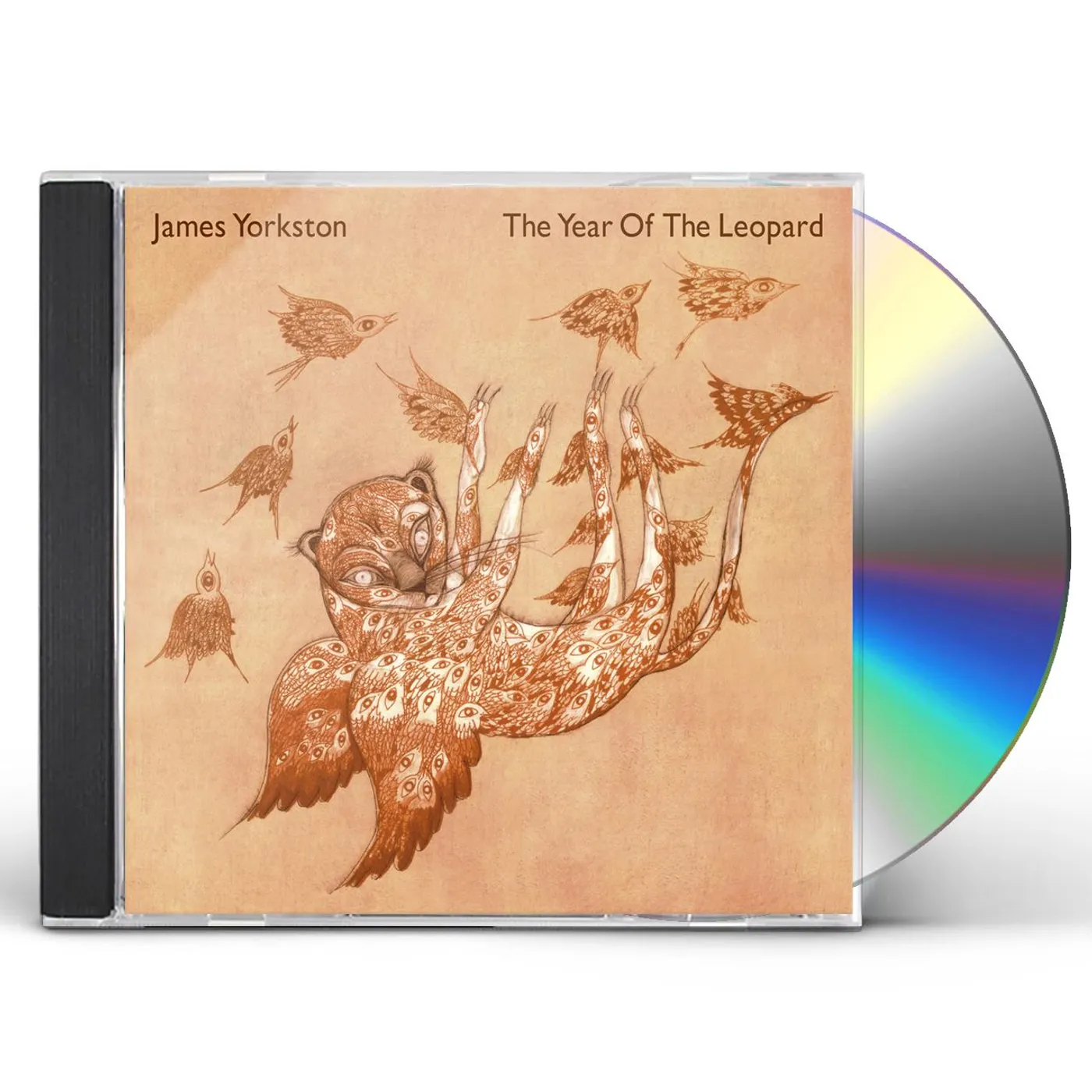 James Yorkston YEAR OF THE LEOPARD CD