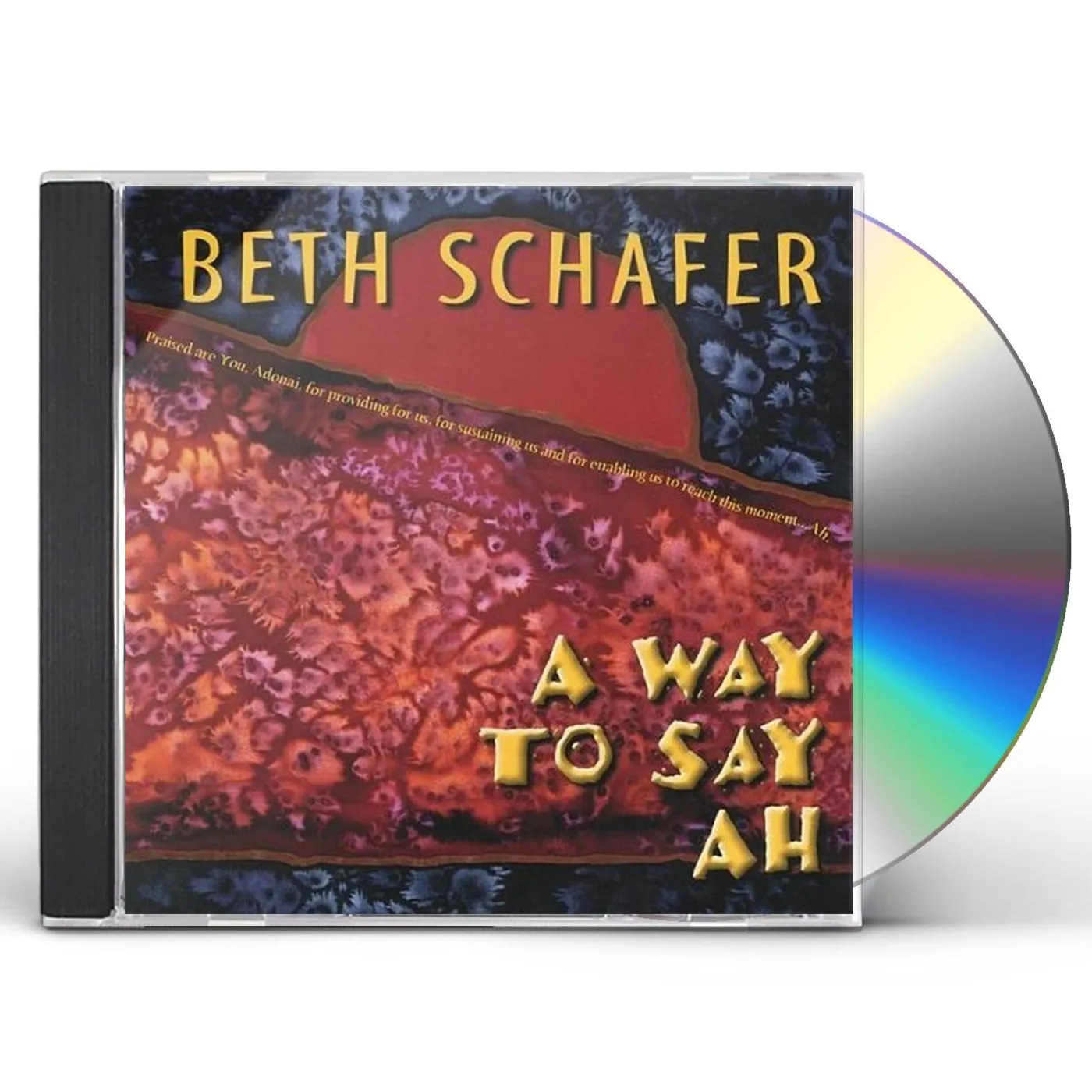 Beth Schafer WAY TO SAY AH CD