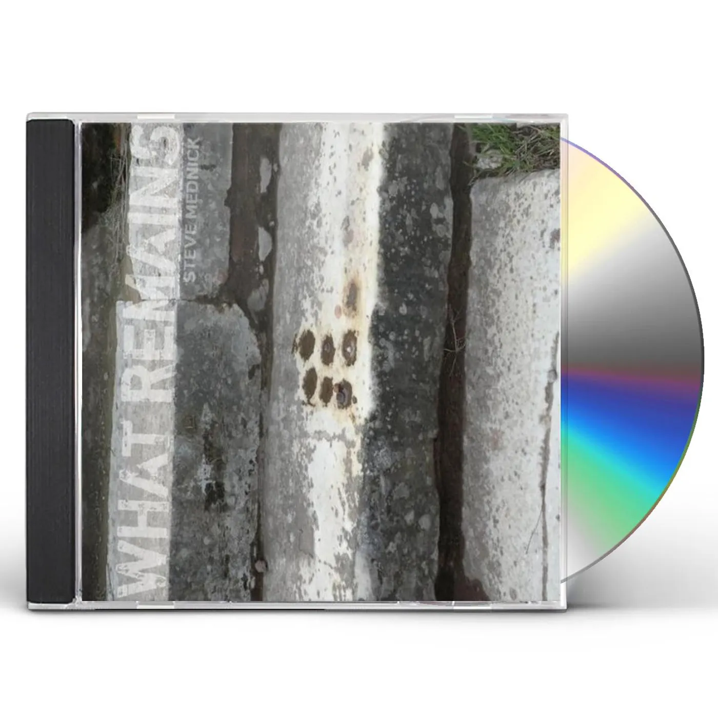 Steve Mednick WHAT REMAINS CD
