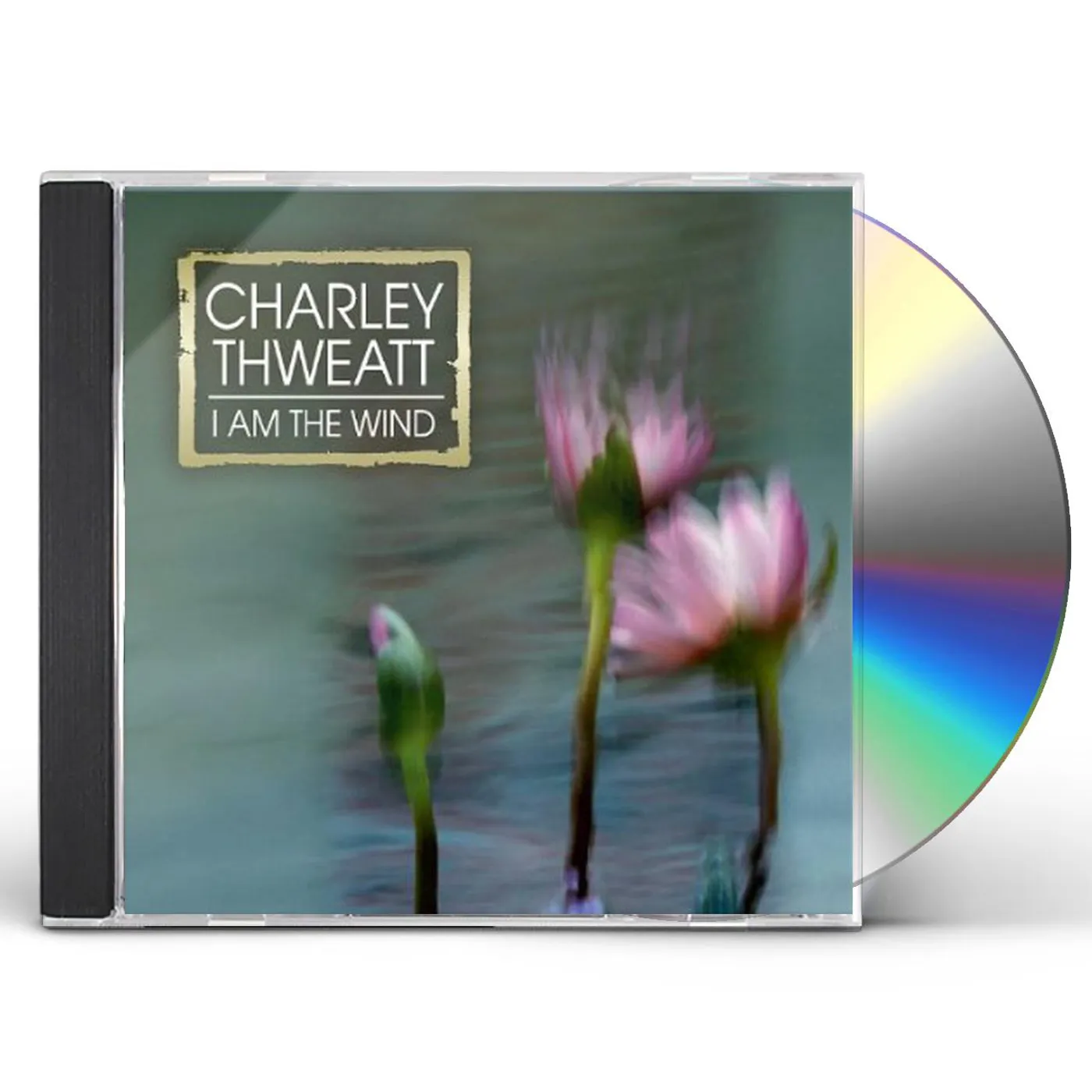 Charley Thweatt I AM THE WIND CD