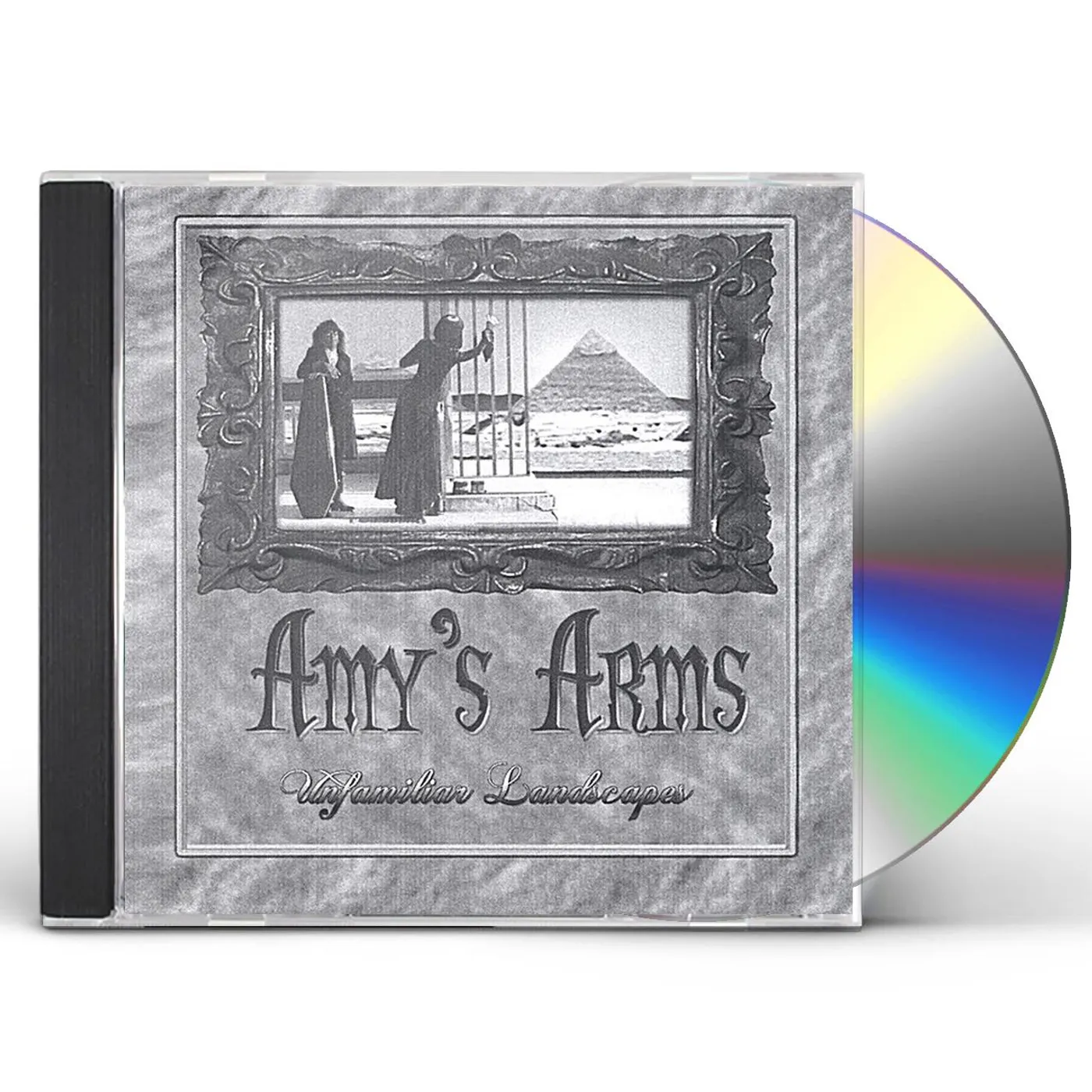 Amy's Arms UNFAMILIAR LANDSCAPES CD