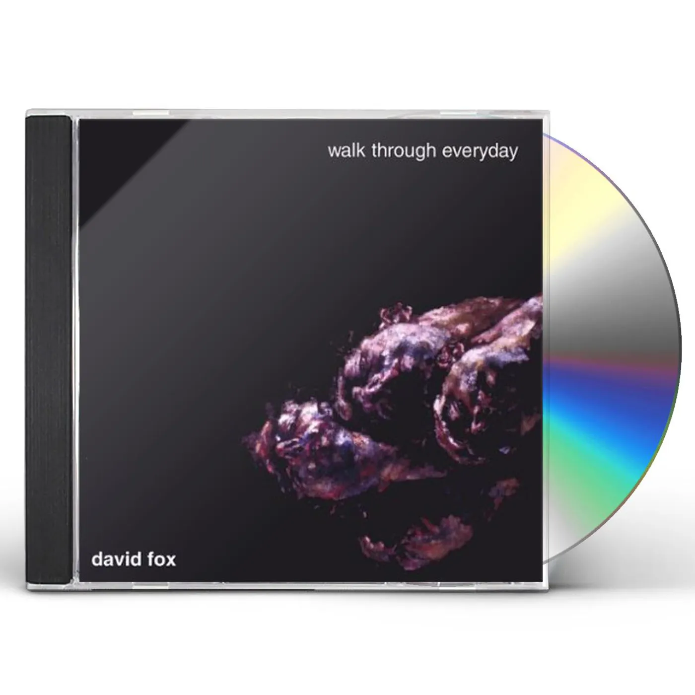 David Fox WALK THROUGH EVERYDAY CD