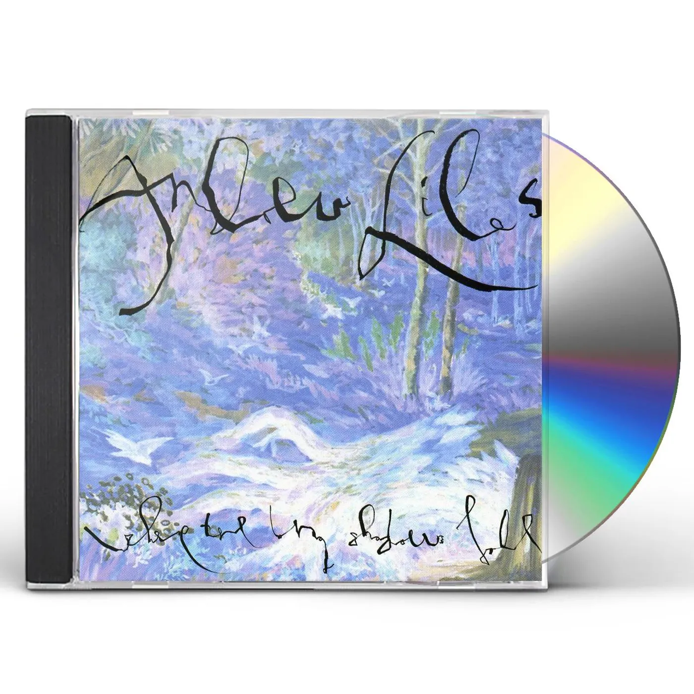 Andrew Liles WHERE THE LONG SHADOWS FALL CD
