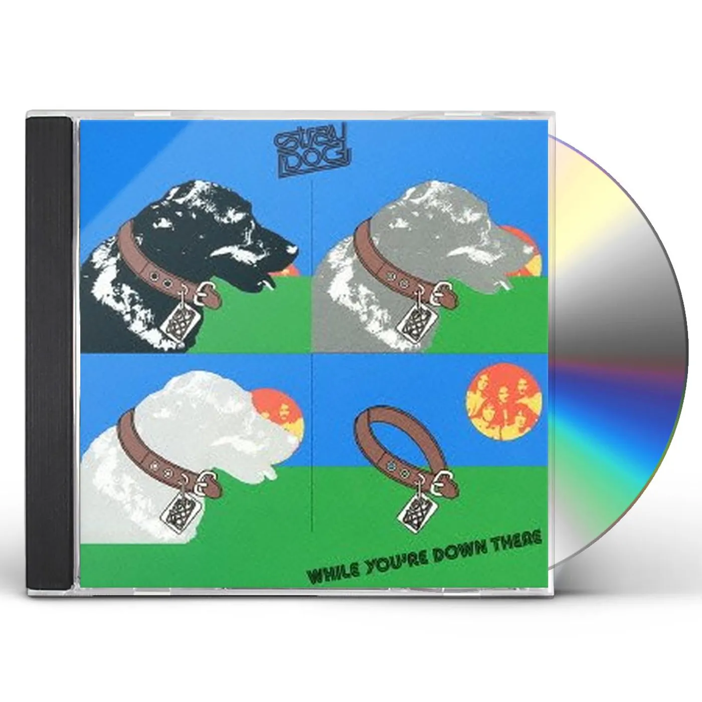 Stray Dog WHILE YOU'RE DOWN THERE CD