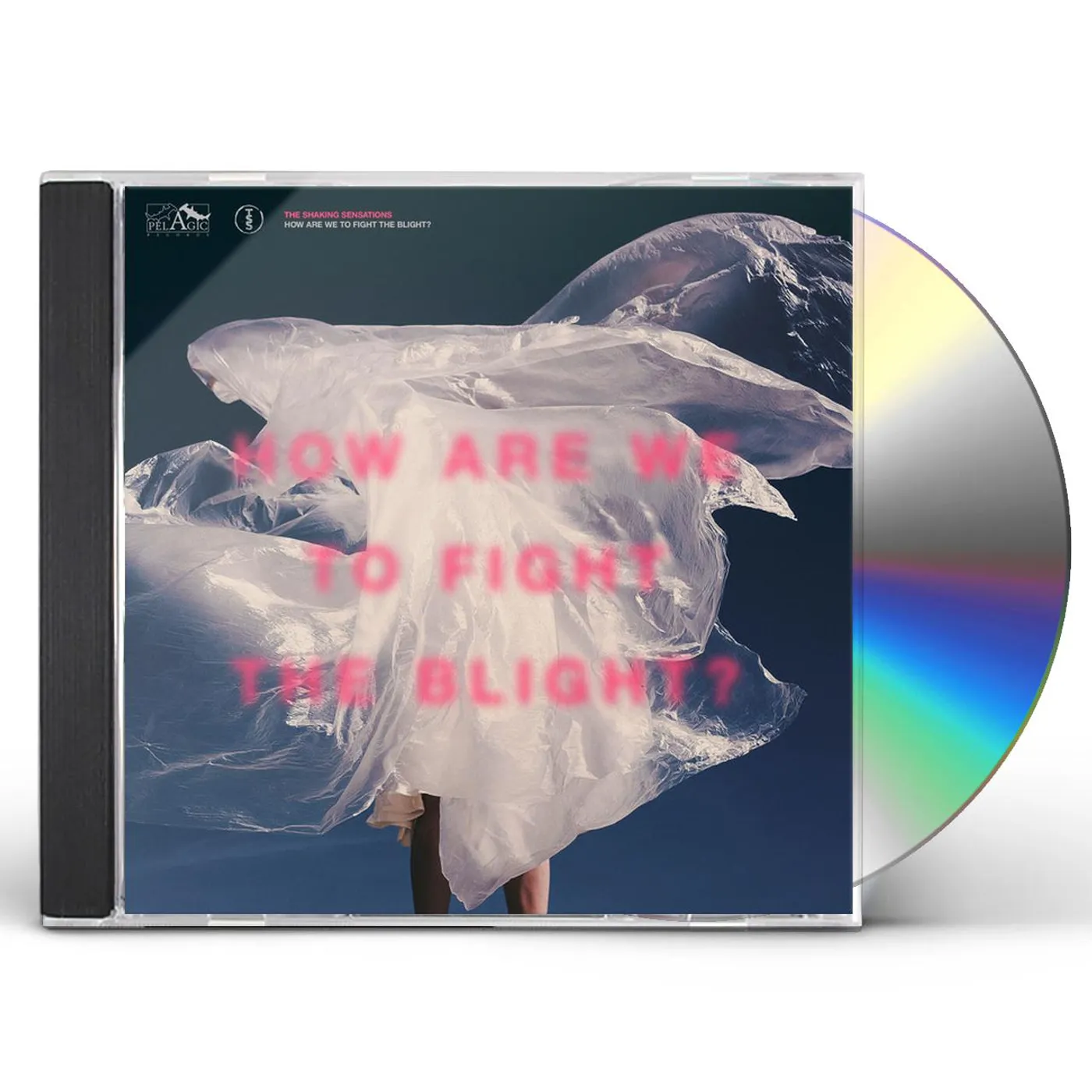 The Shaking Sensations HOW ARE WE TO FIGHT THE BLIGHT CD