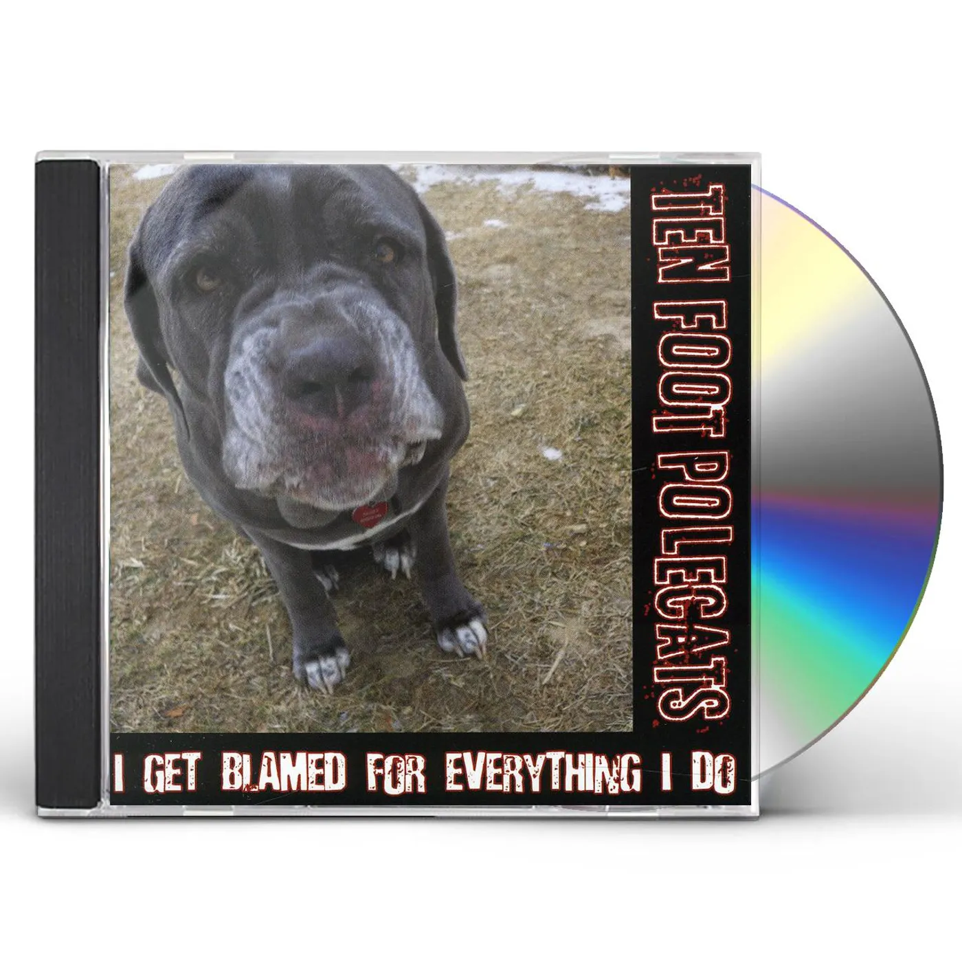 Ten Foot Polecats I GET BLAMED FOR EVERYTHING I DO CD