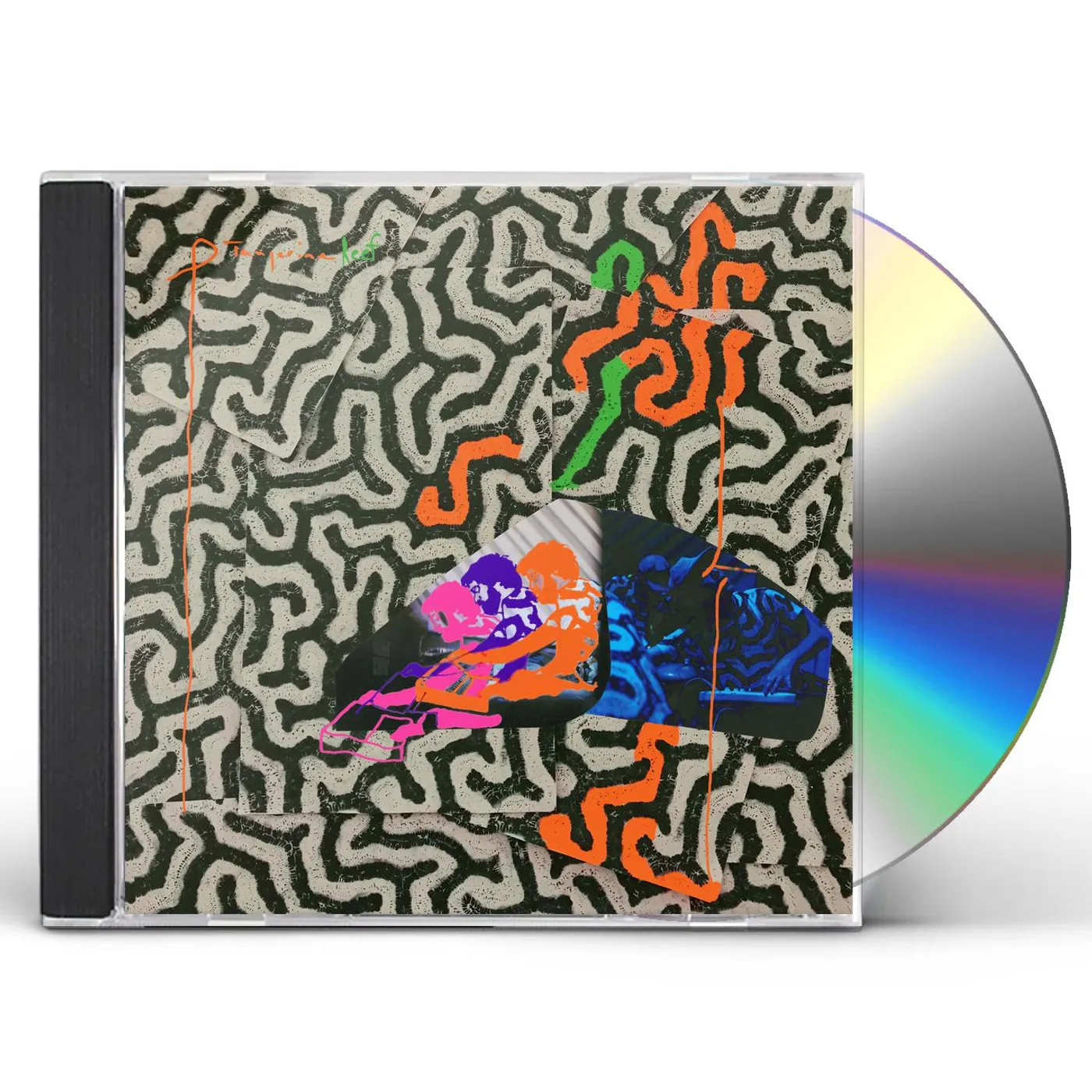 Animal Collective TANGERINE REEF CD