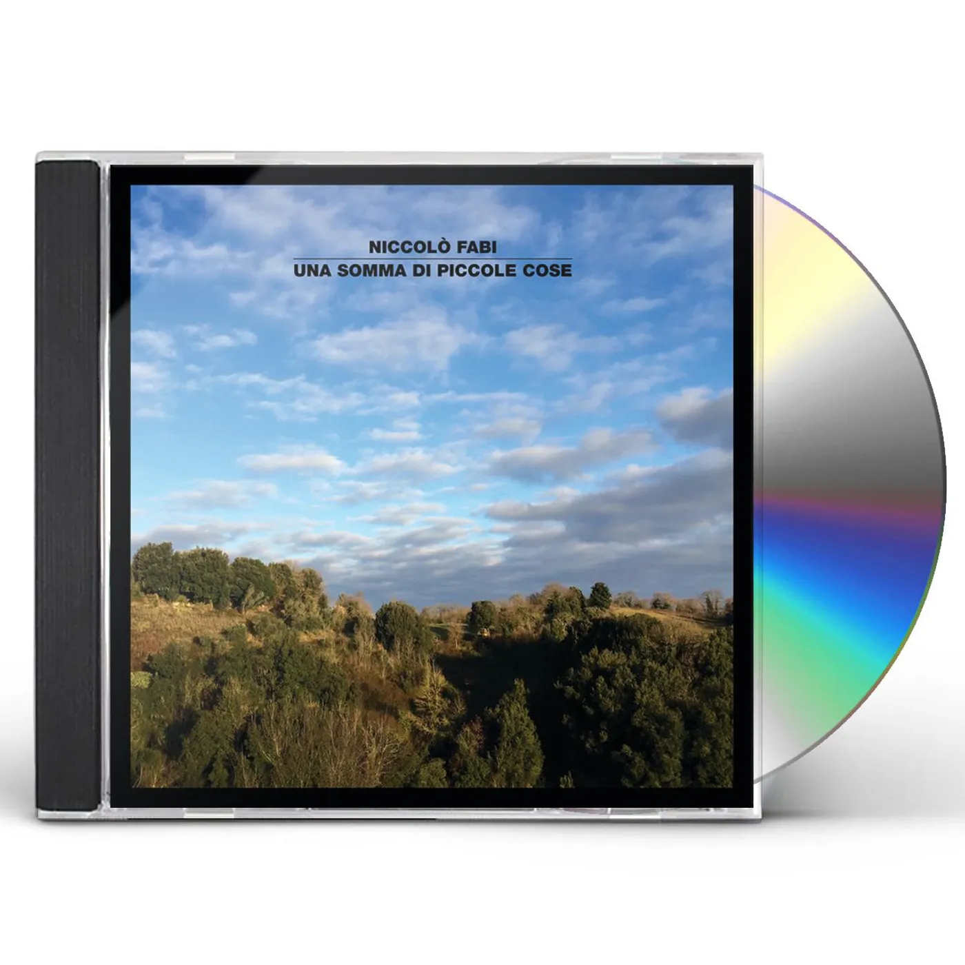 Niccolò Fabi UNA SOMMA DI PICCOLE COSE CD