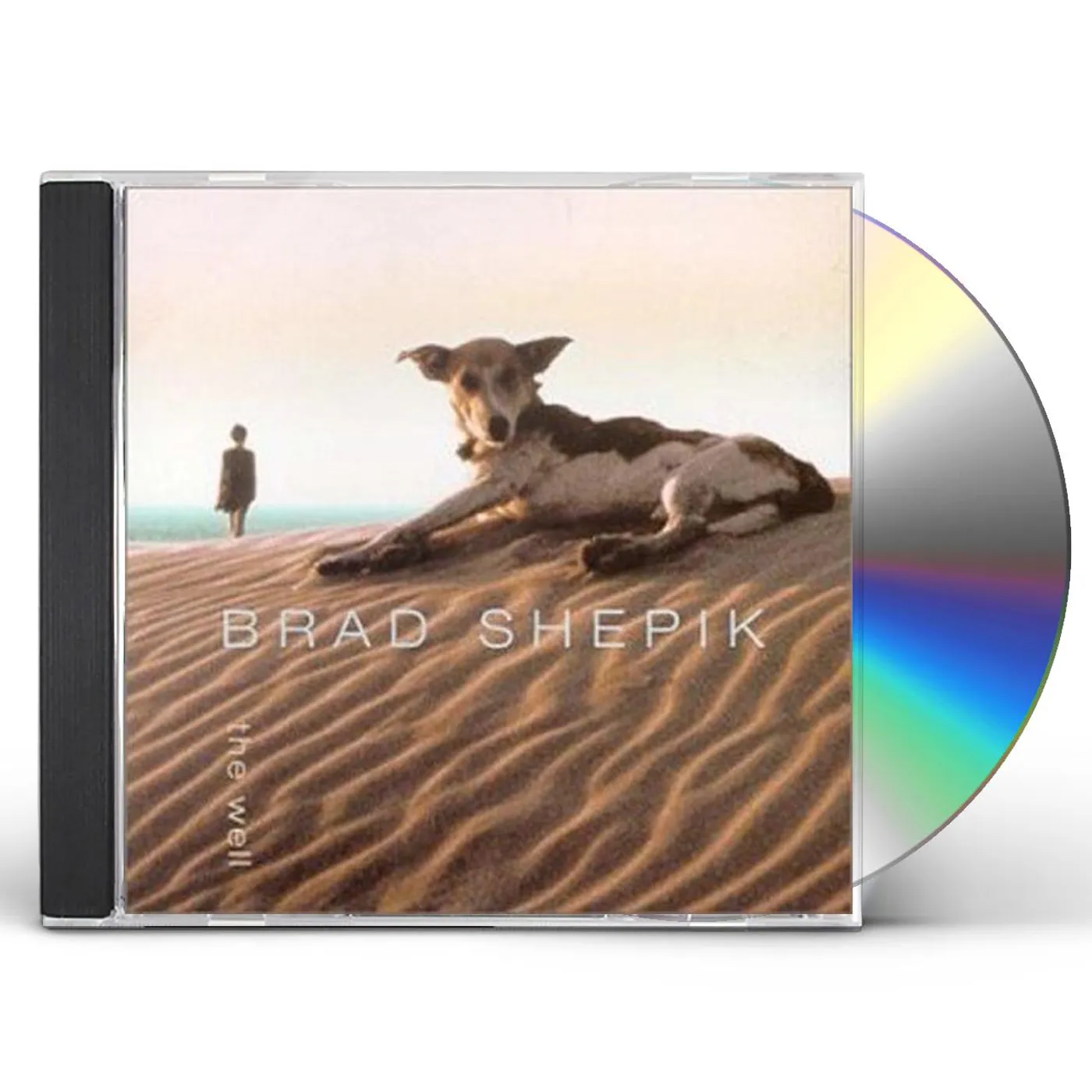 Brad Shepik WELL CD