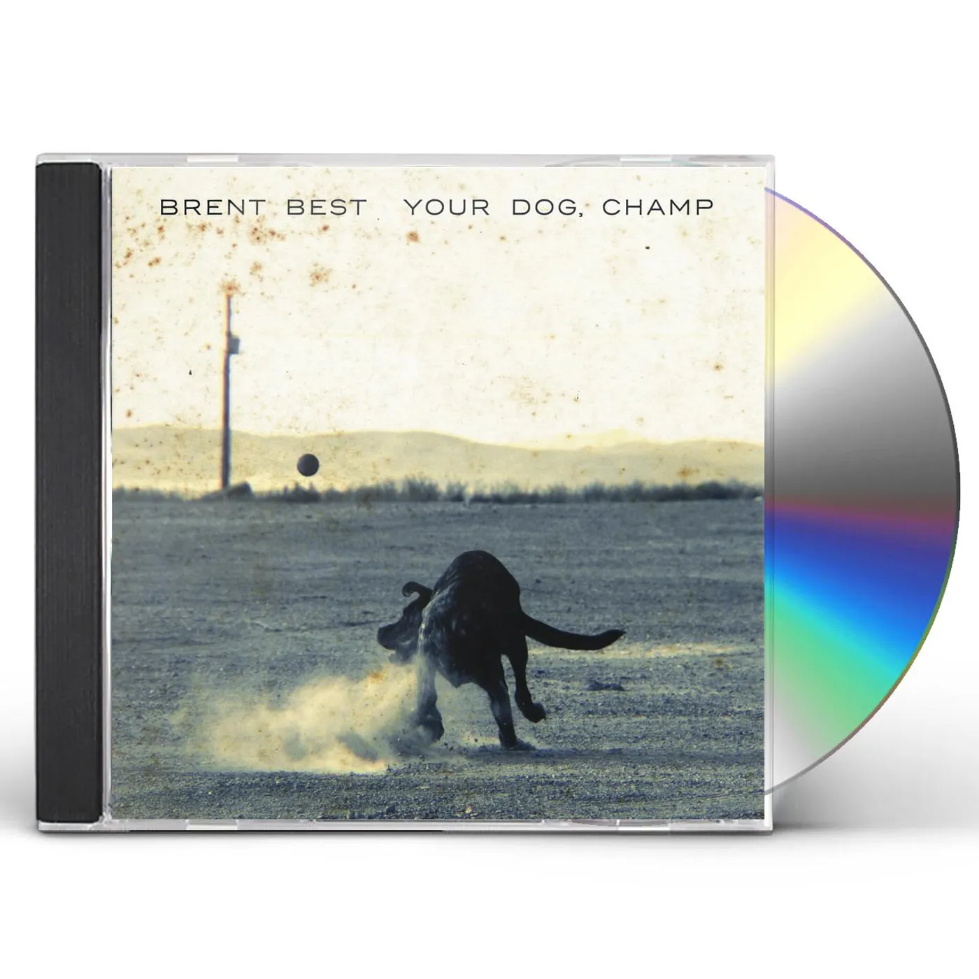Brent Best YOUR DOG CHAMP CD