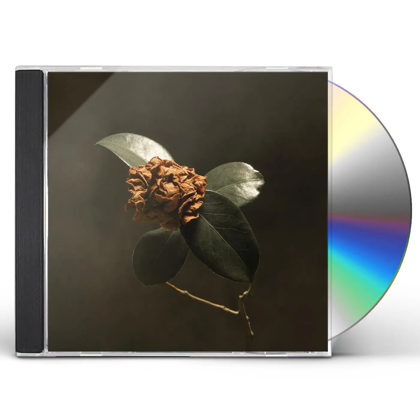 St. Paul & The Broken Bones YOUNG SICK CAMELLIA CD