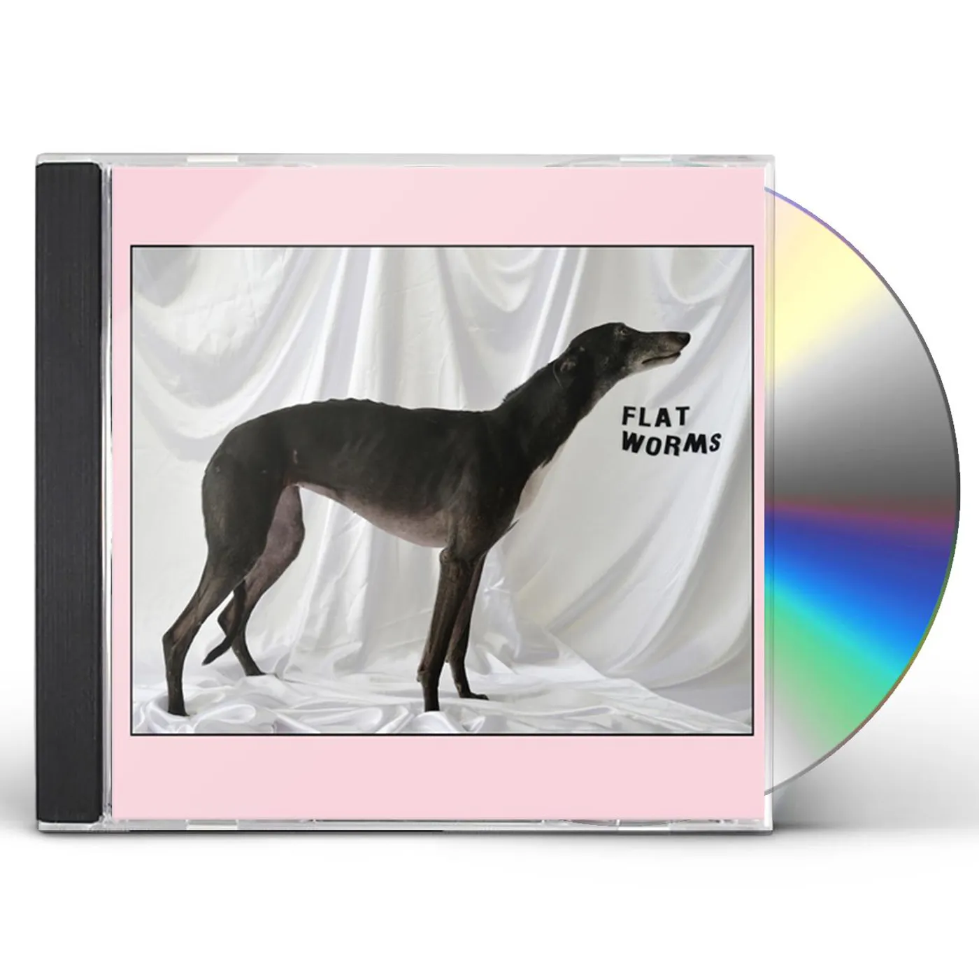 FLAT WORMS CD