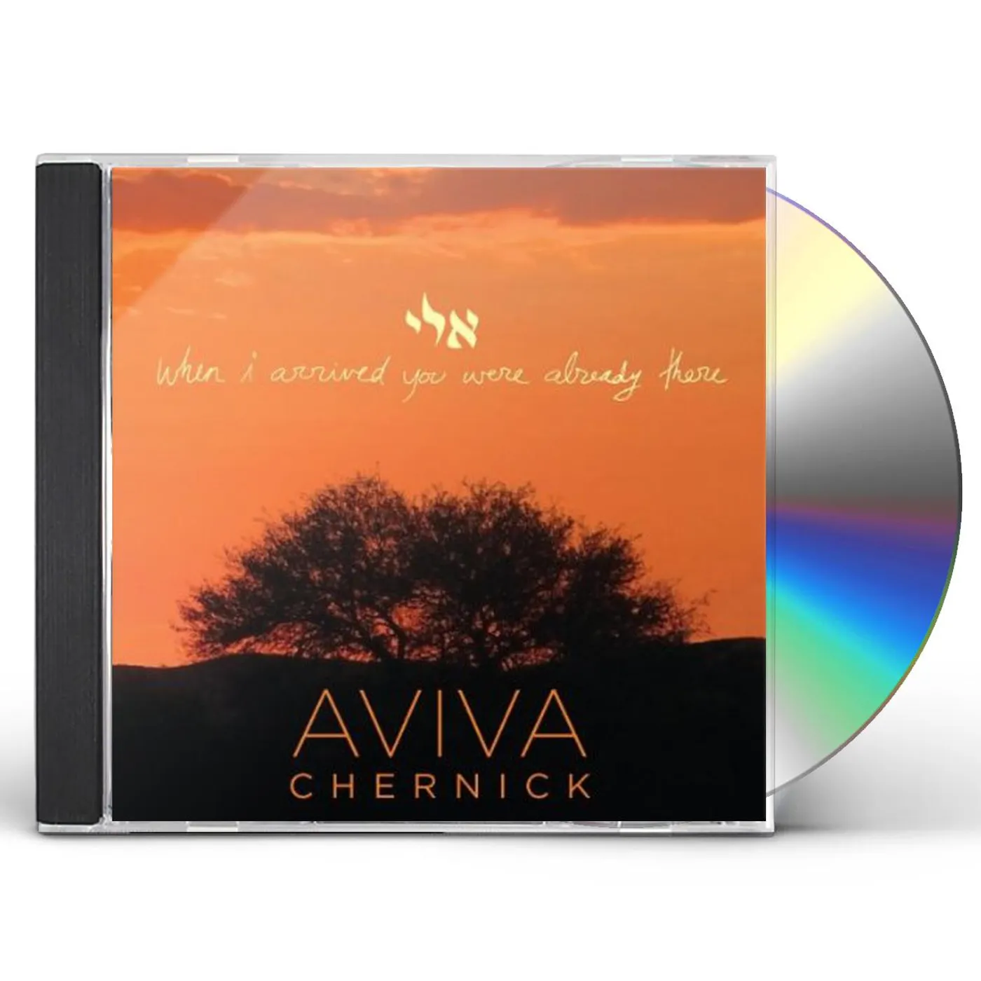 Aviva Chernick WHEN I ARRIVED YOU WERE ALREADY THERE CD