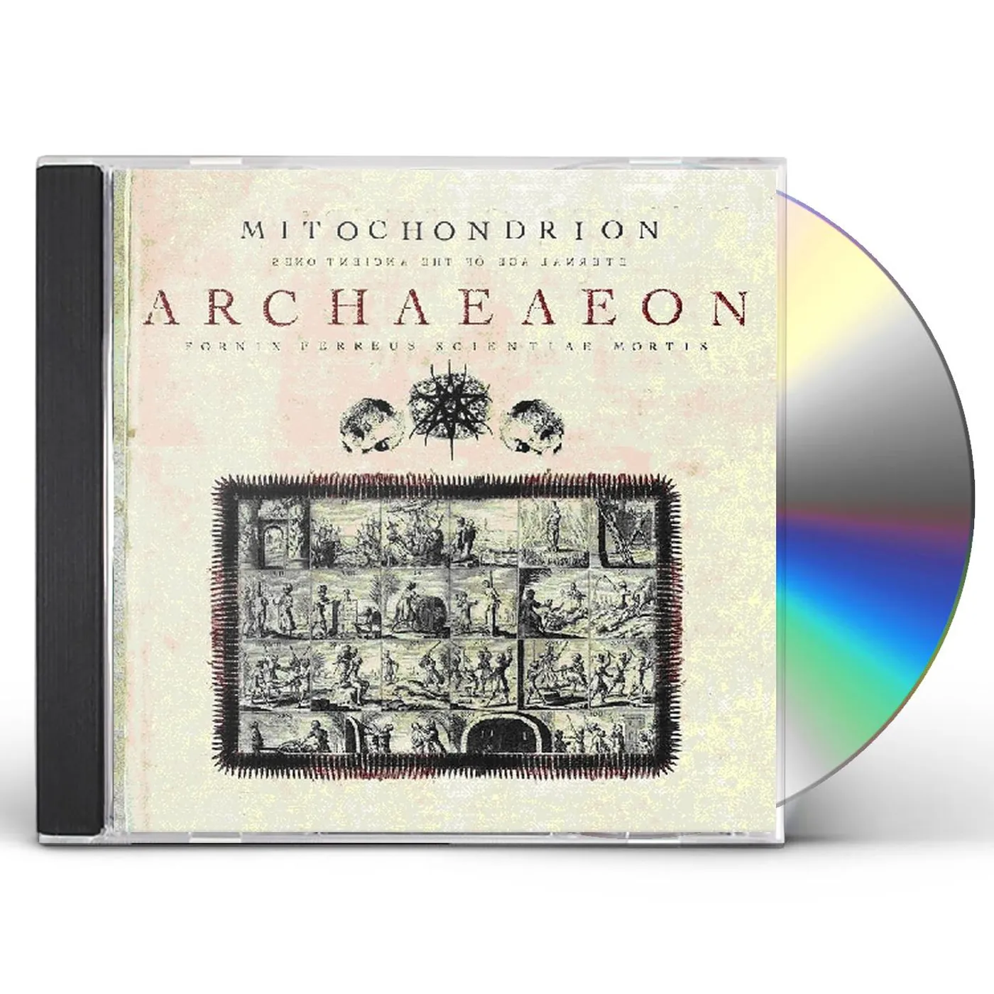 Mitochondrion ARCHAEAEON CD