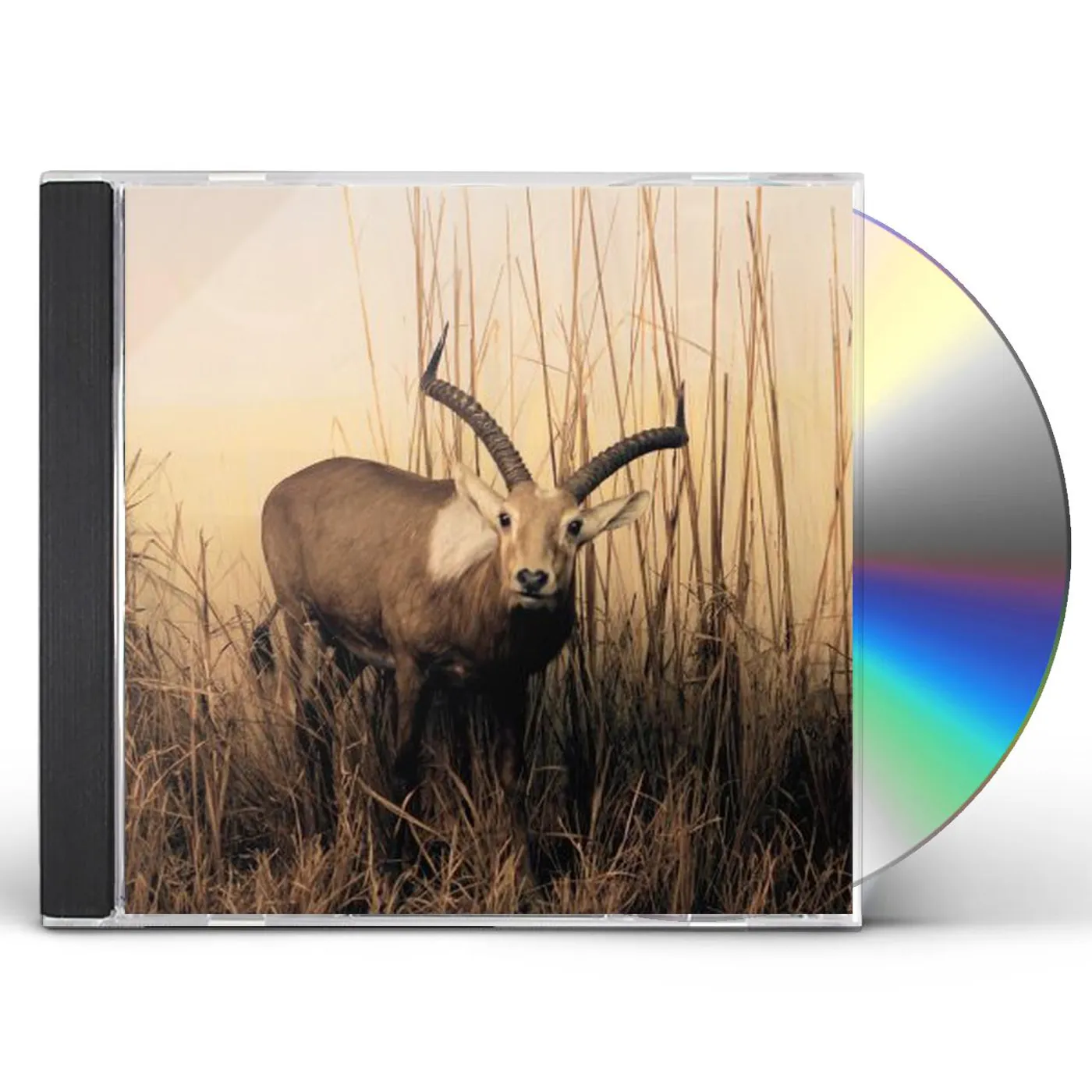 Blamstrain FOR ALL THE DREAMERS IN CD