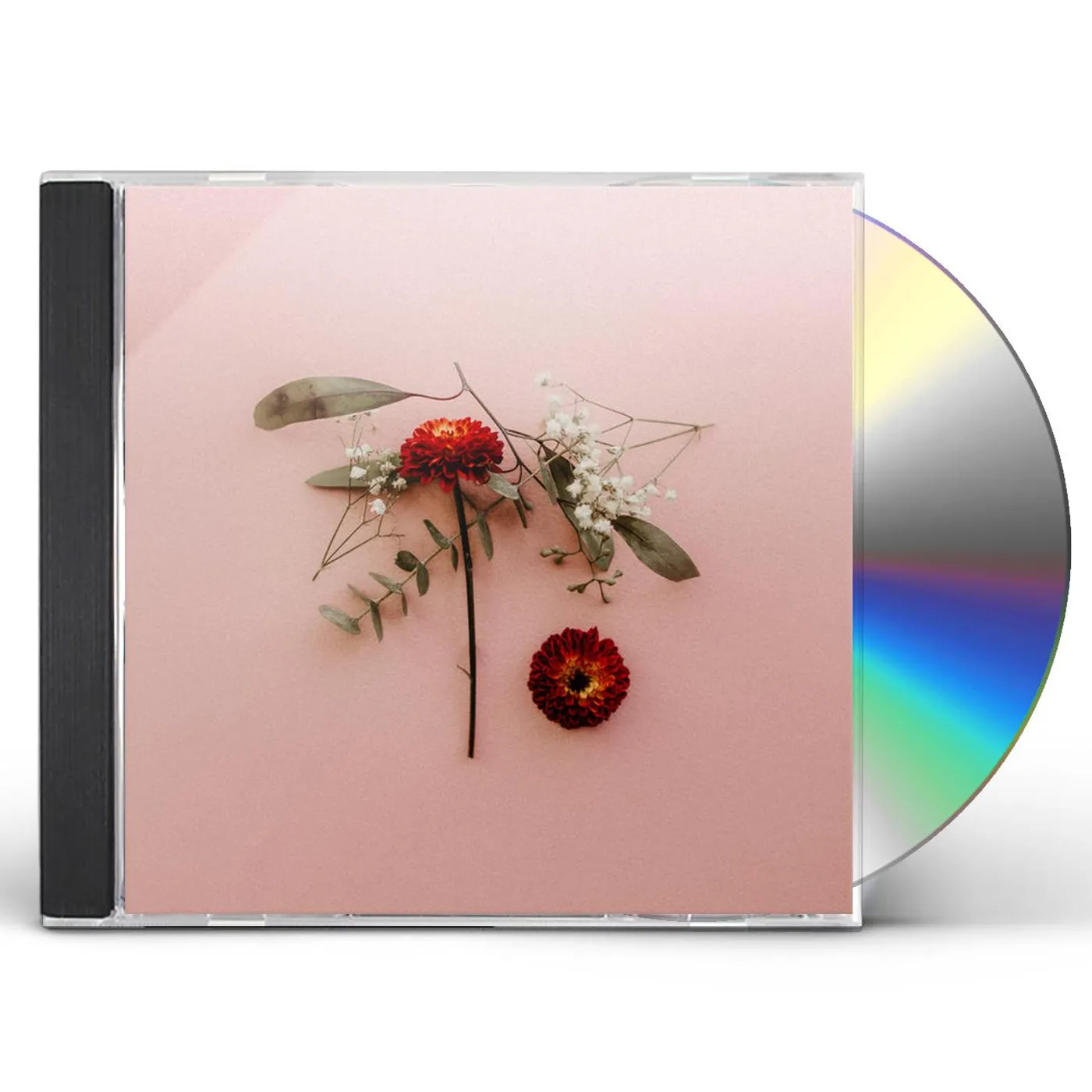 Sunsleeper YOU CAN MISS SOMETHING & NOT WANT IT BACK CD