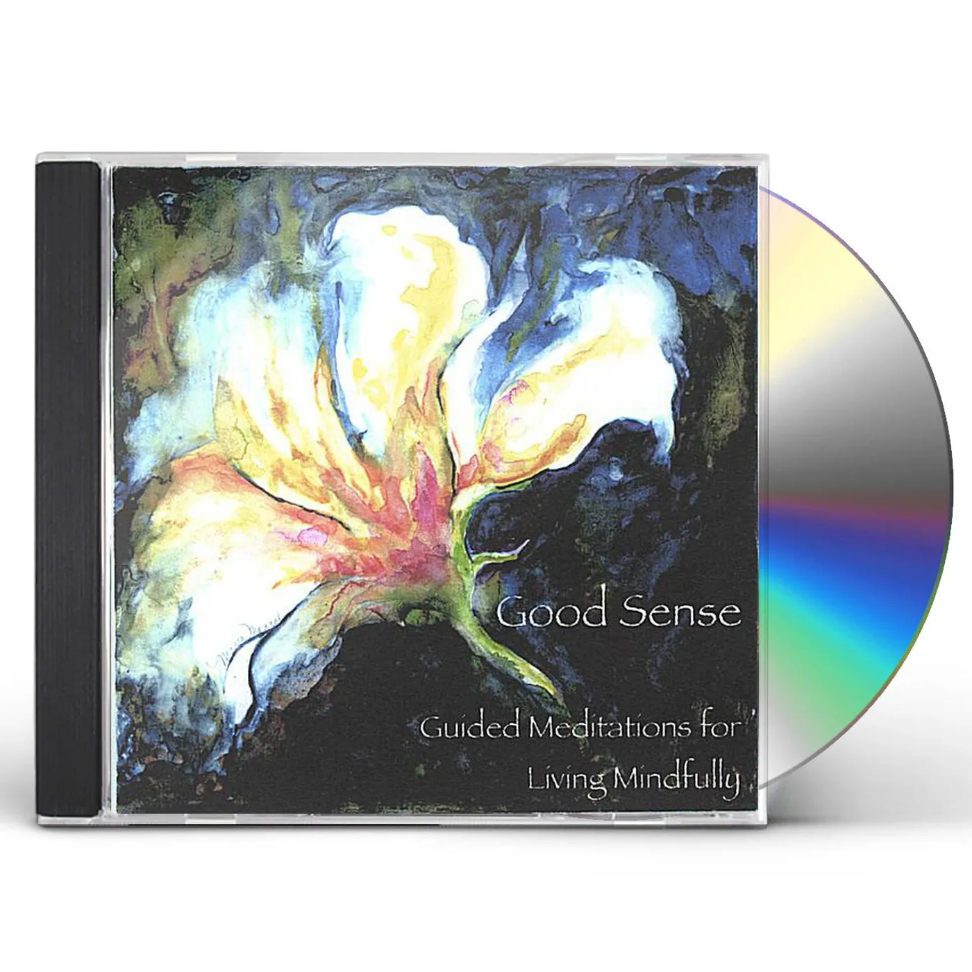 Judith Day GOOD SENSE GUIDED MEDITATIONS FOR LIVING MINDFULLY CD