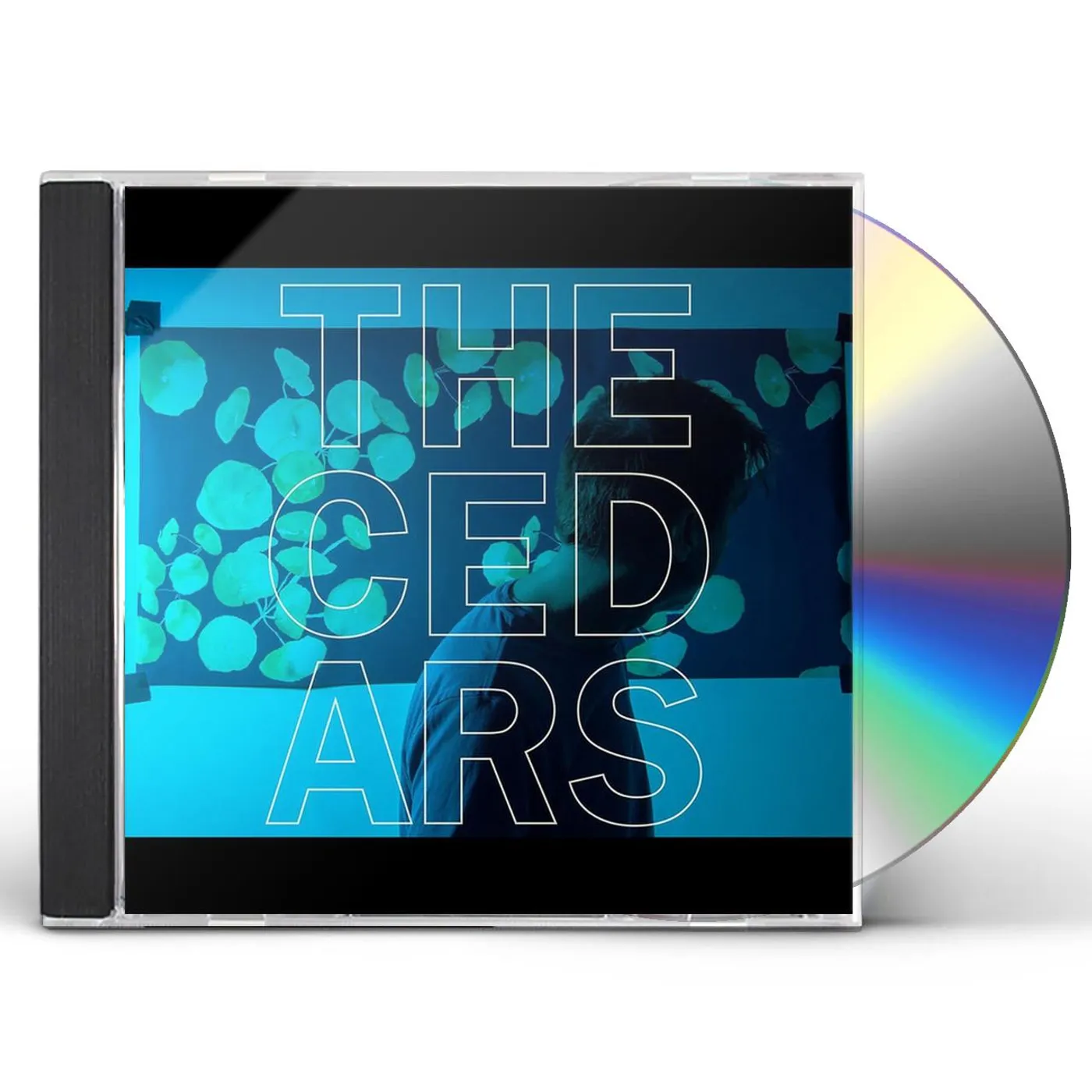 John Vanderslice CEDARS CD