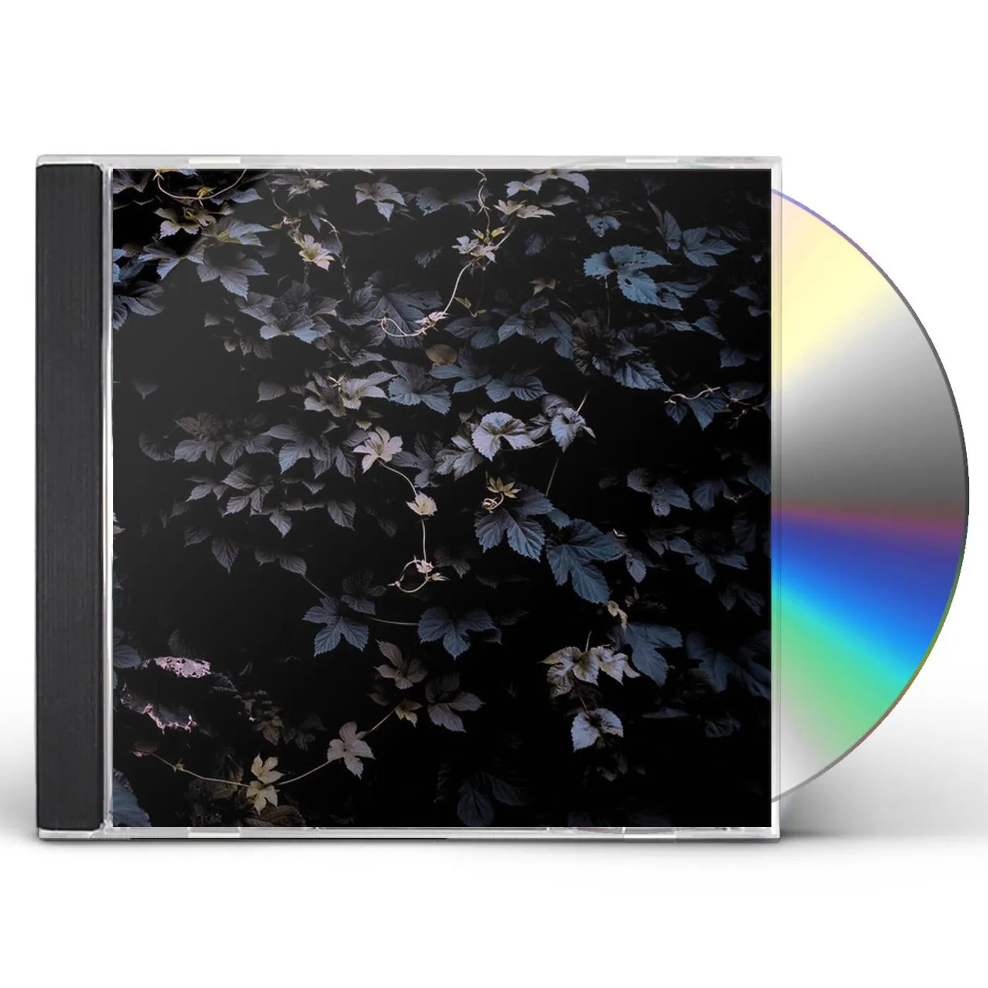 Michael Vallera VIVID FLU CD