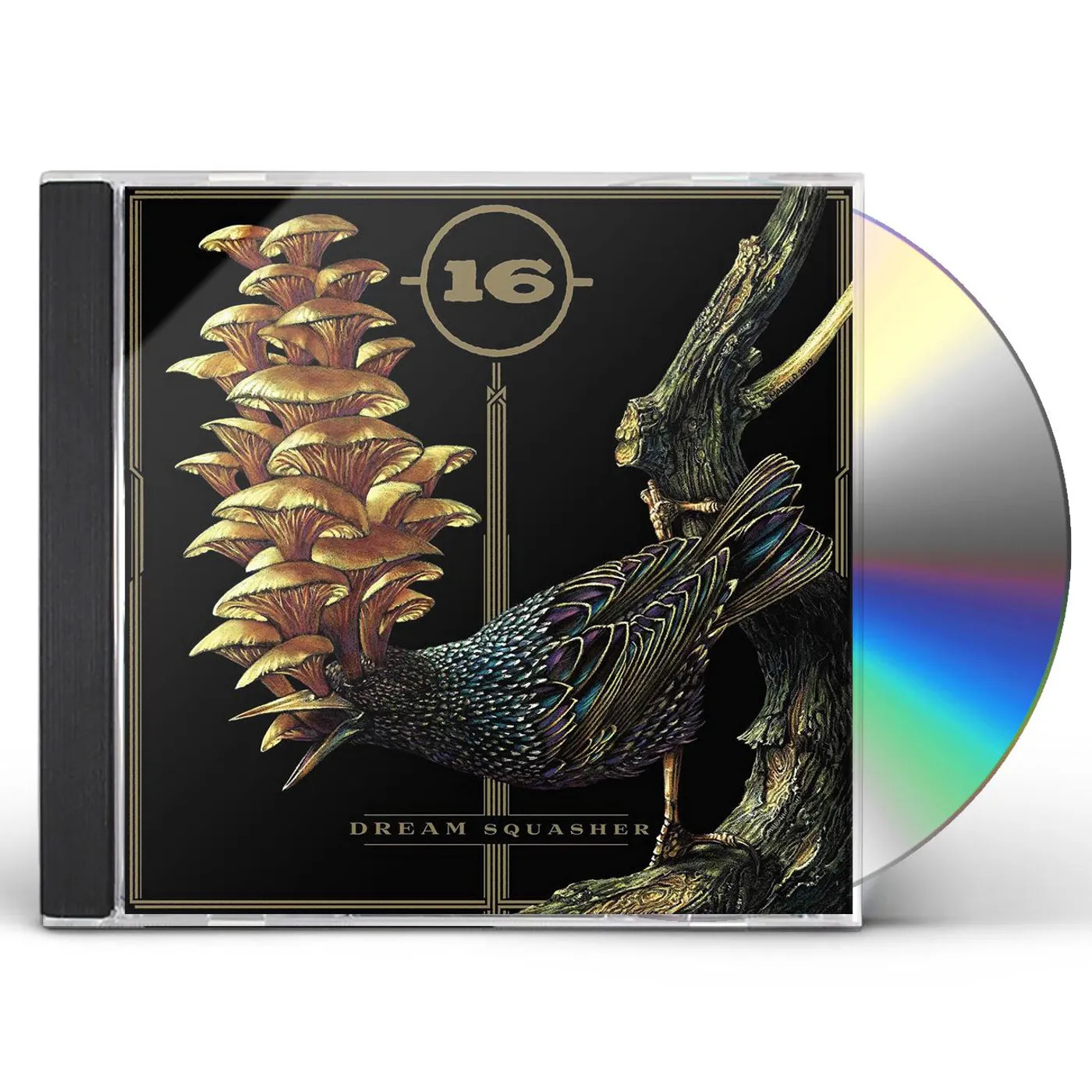 16 DREAM SQUASHER CD