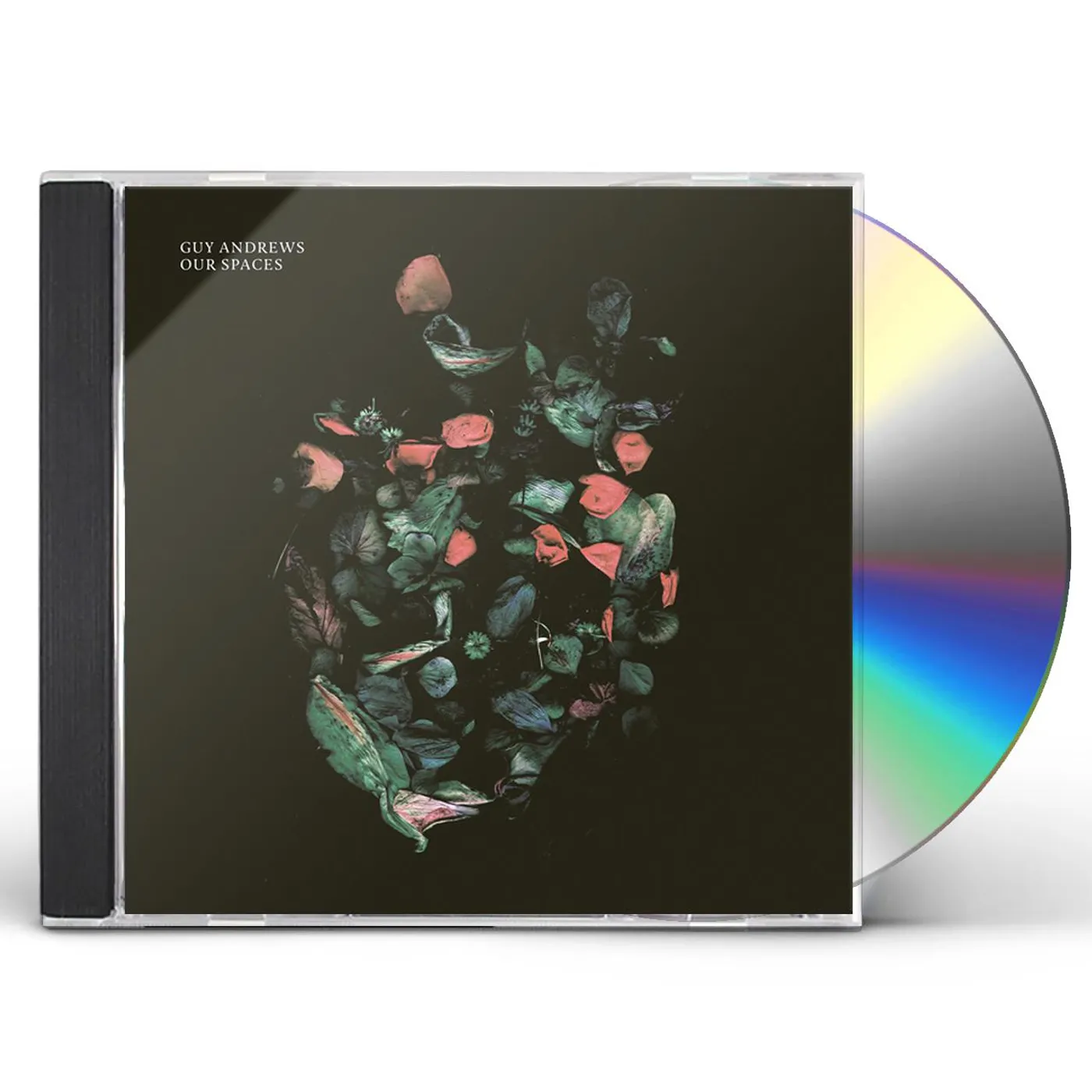 Guy Andrews OUR SPACES CD