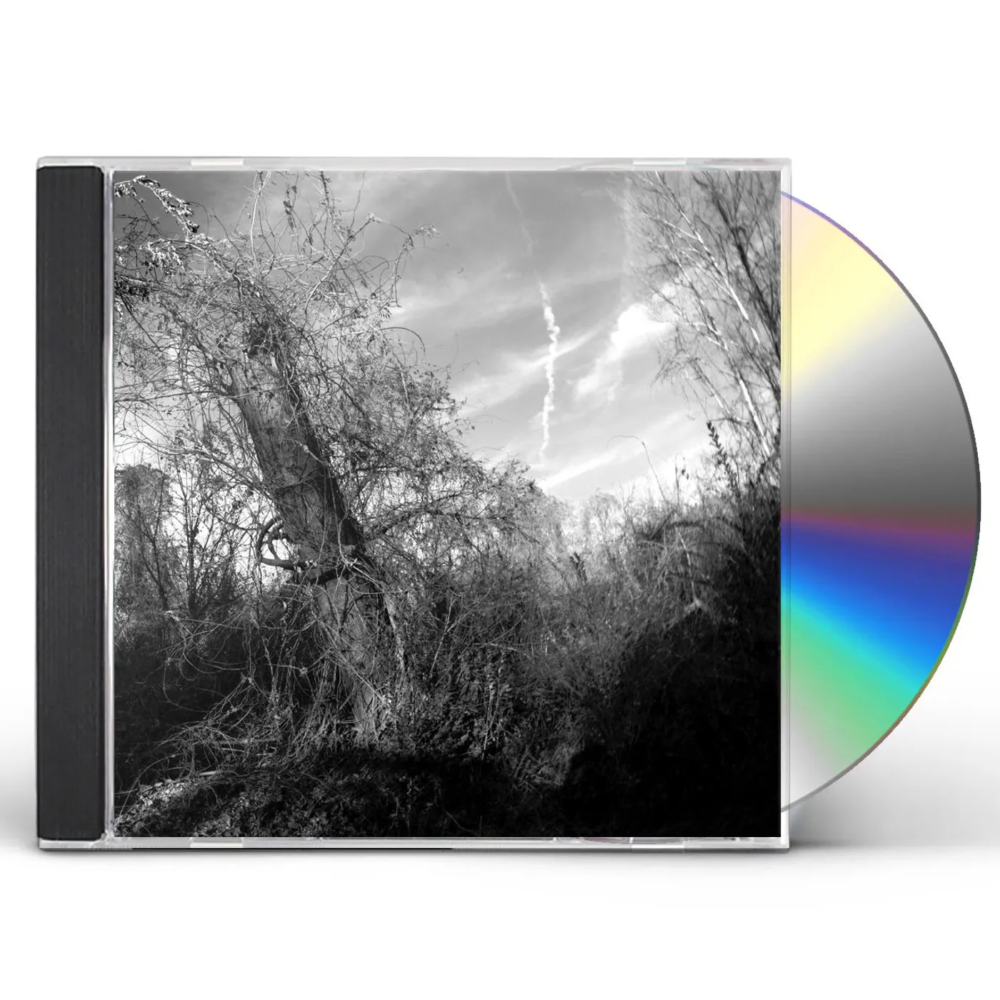 Harvey Milk SMALL TURN OF HUMAN KINDNESS CD