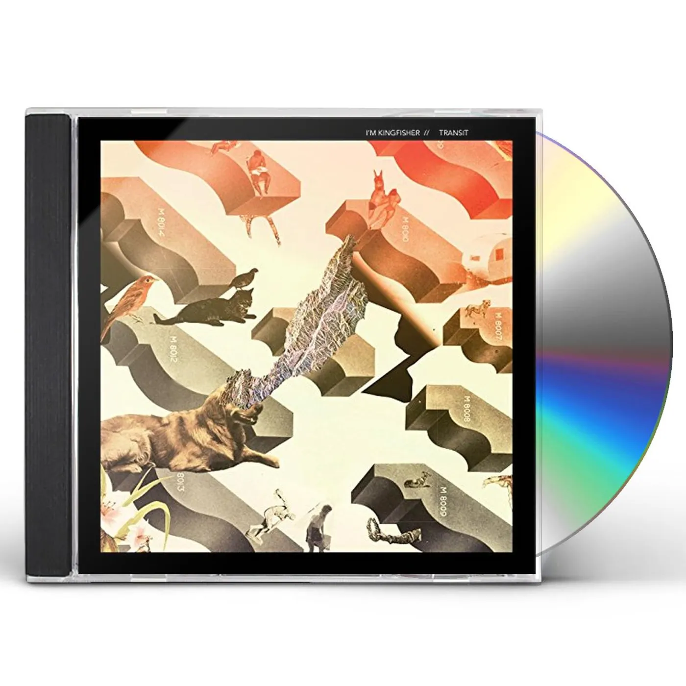 I'm Kingfisher TRANSIT CD