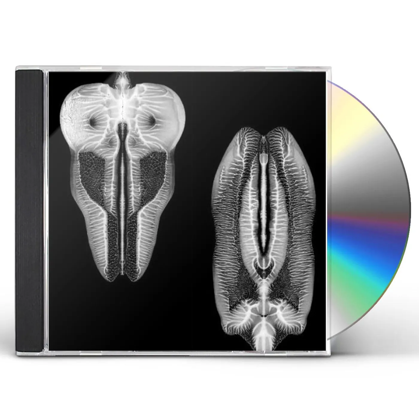The Skull Defekts DANCES IN DREAMS OF THE KNOWN UNKNOWN CD