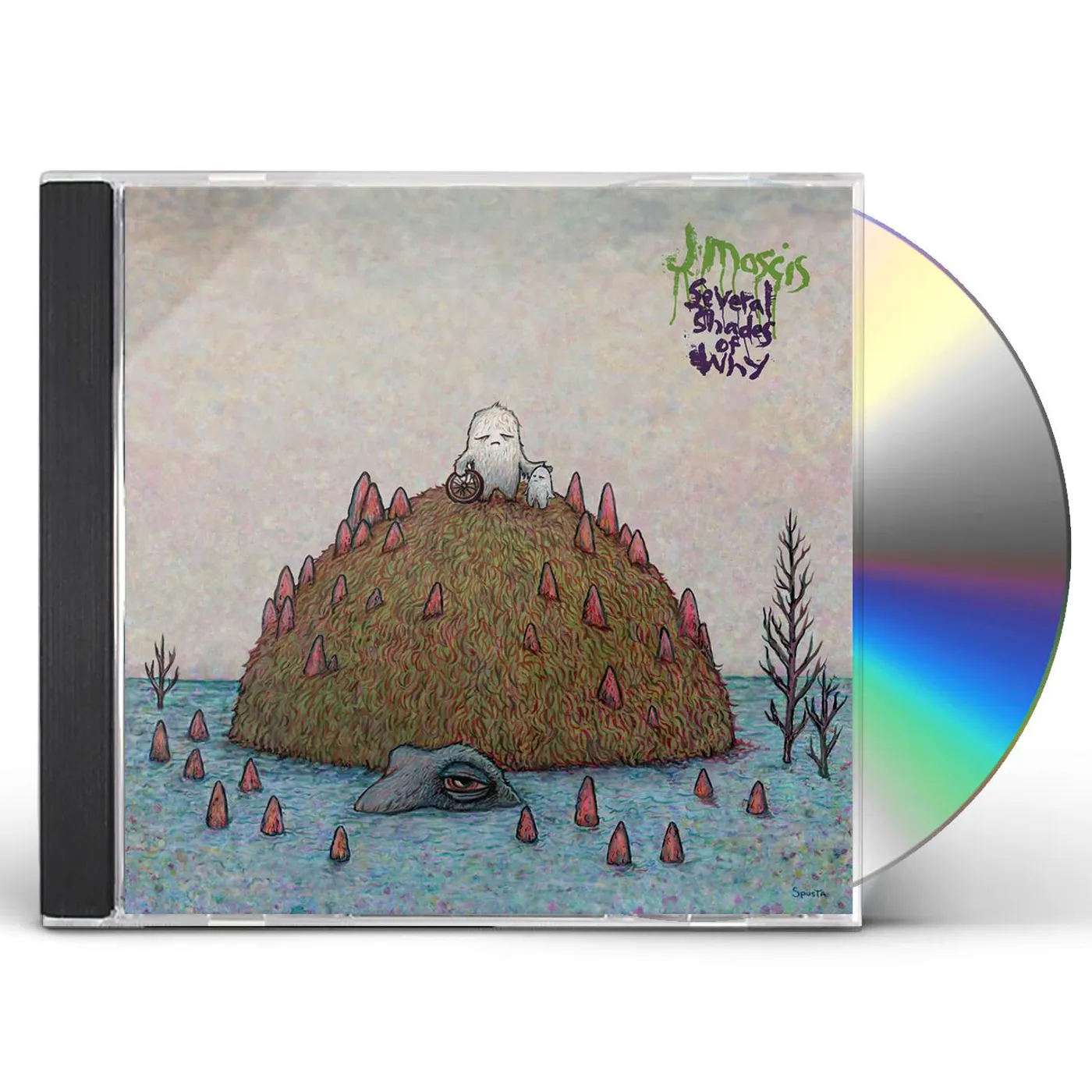 J Mascis SEVERAL SHADES OF WHY CD