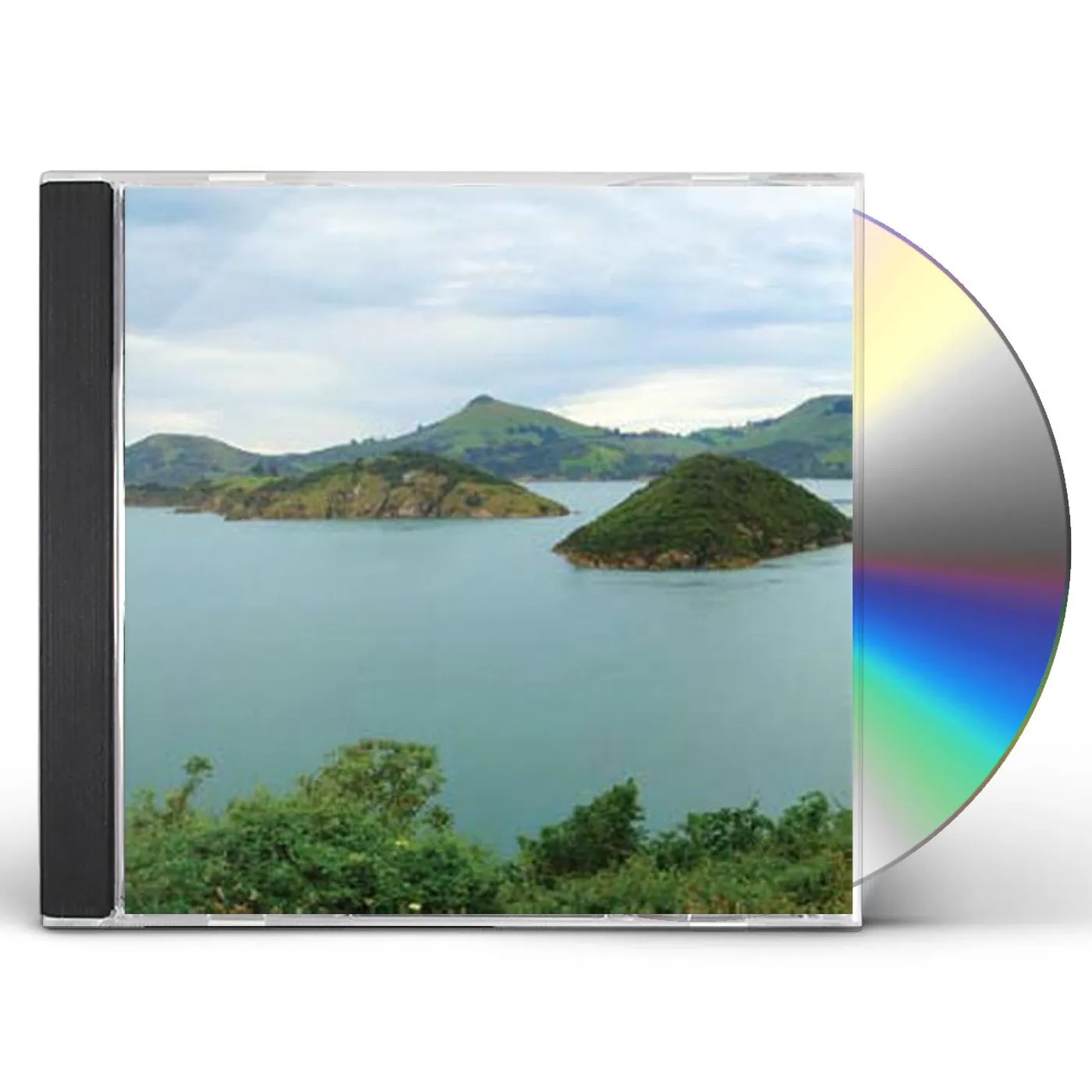 The Dead C SECRET EARTH CD