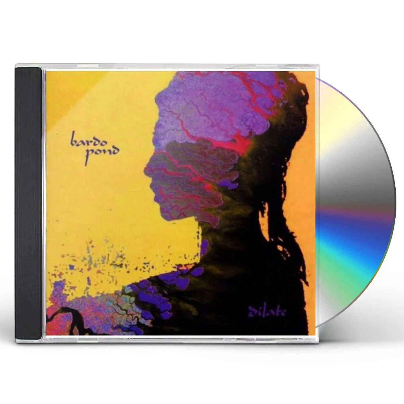 Bardo Pond DILATE CD