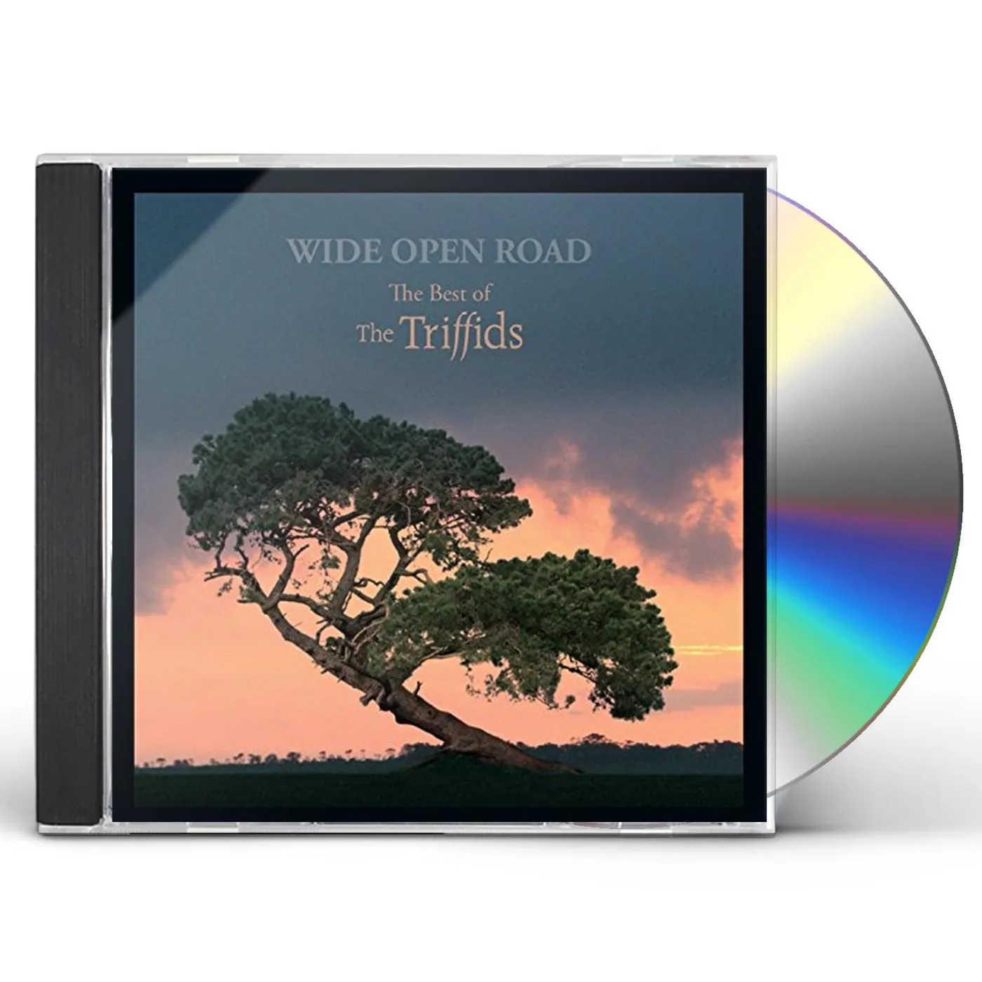 WIDE OPEN ROAD: BEST OF THE TRIFFIDS CD
