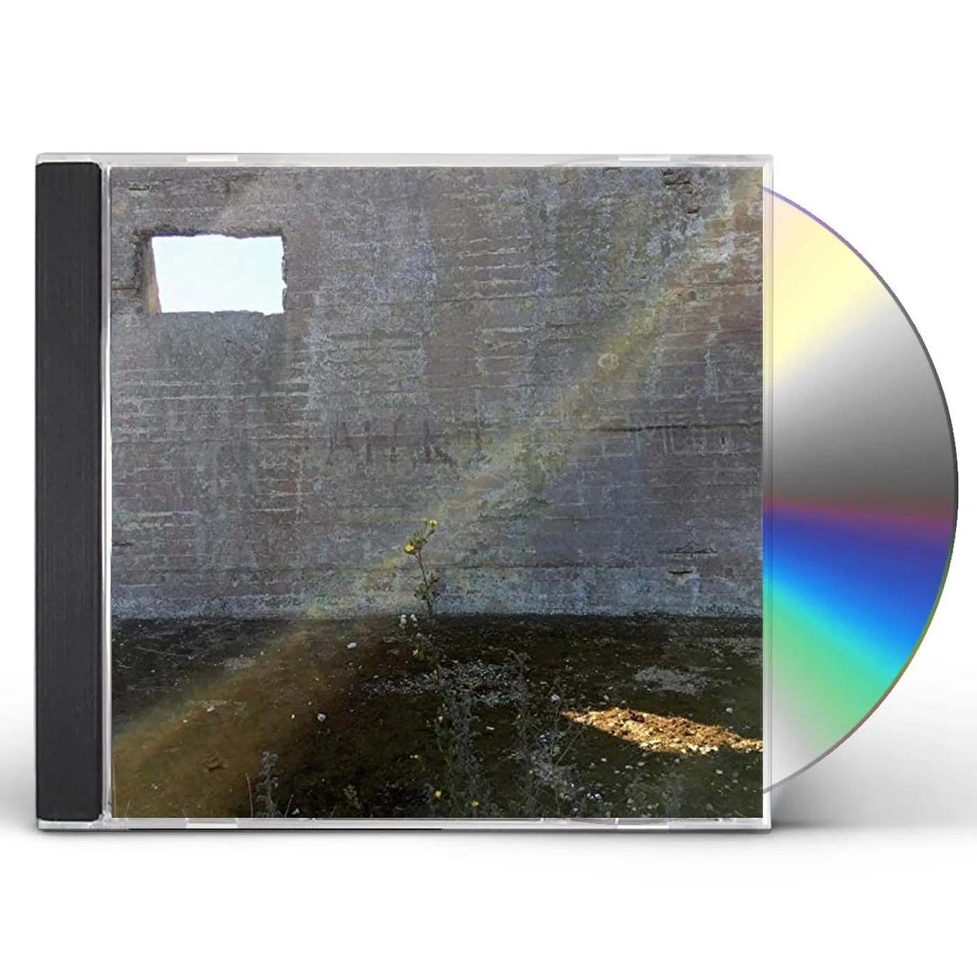 Desperate Journalist IN SEARCH OF THE MIRACULOUS CD