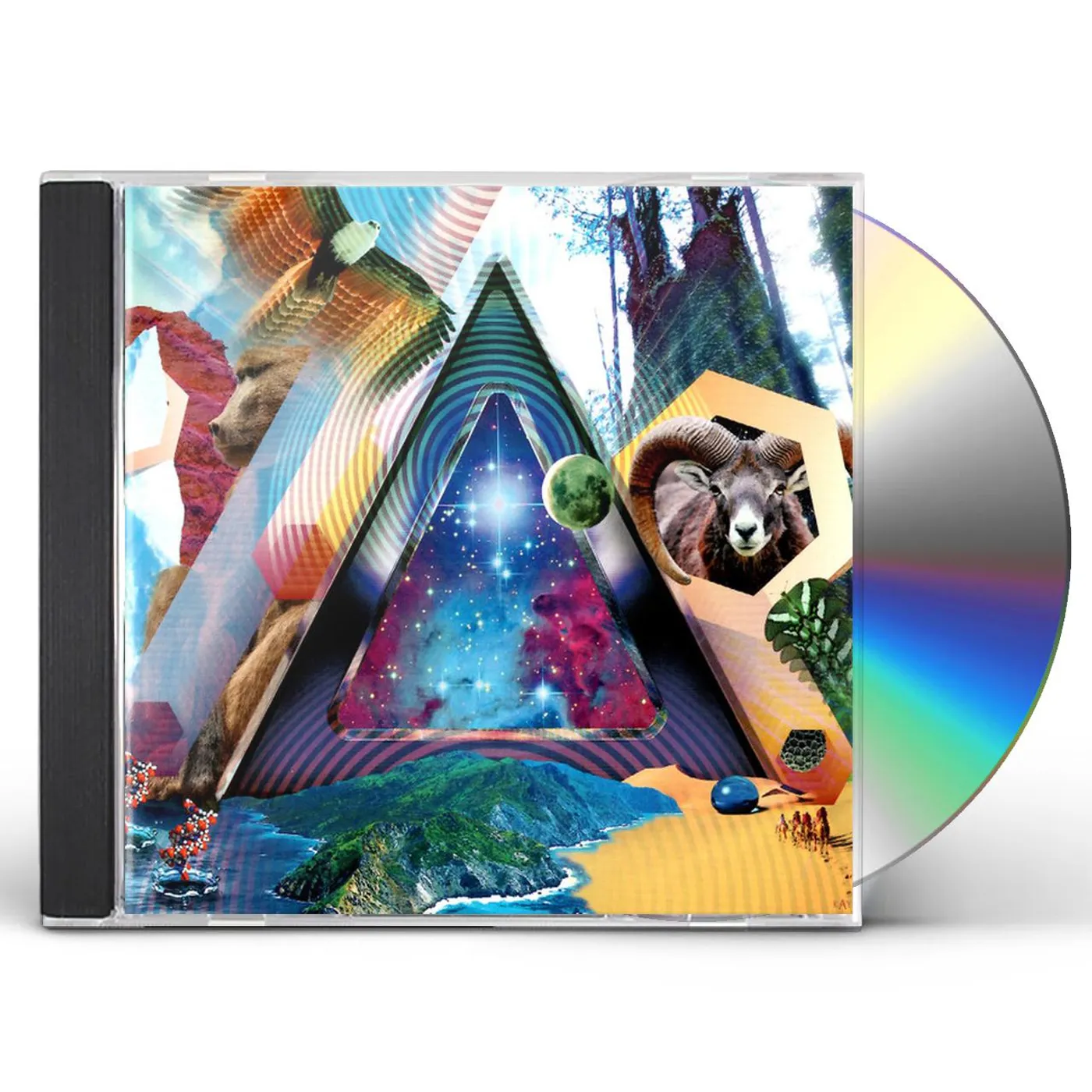 311 UNIVERSAL PULSE CD