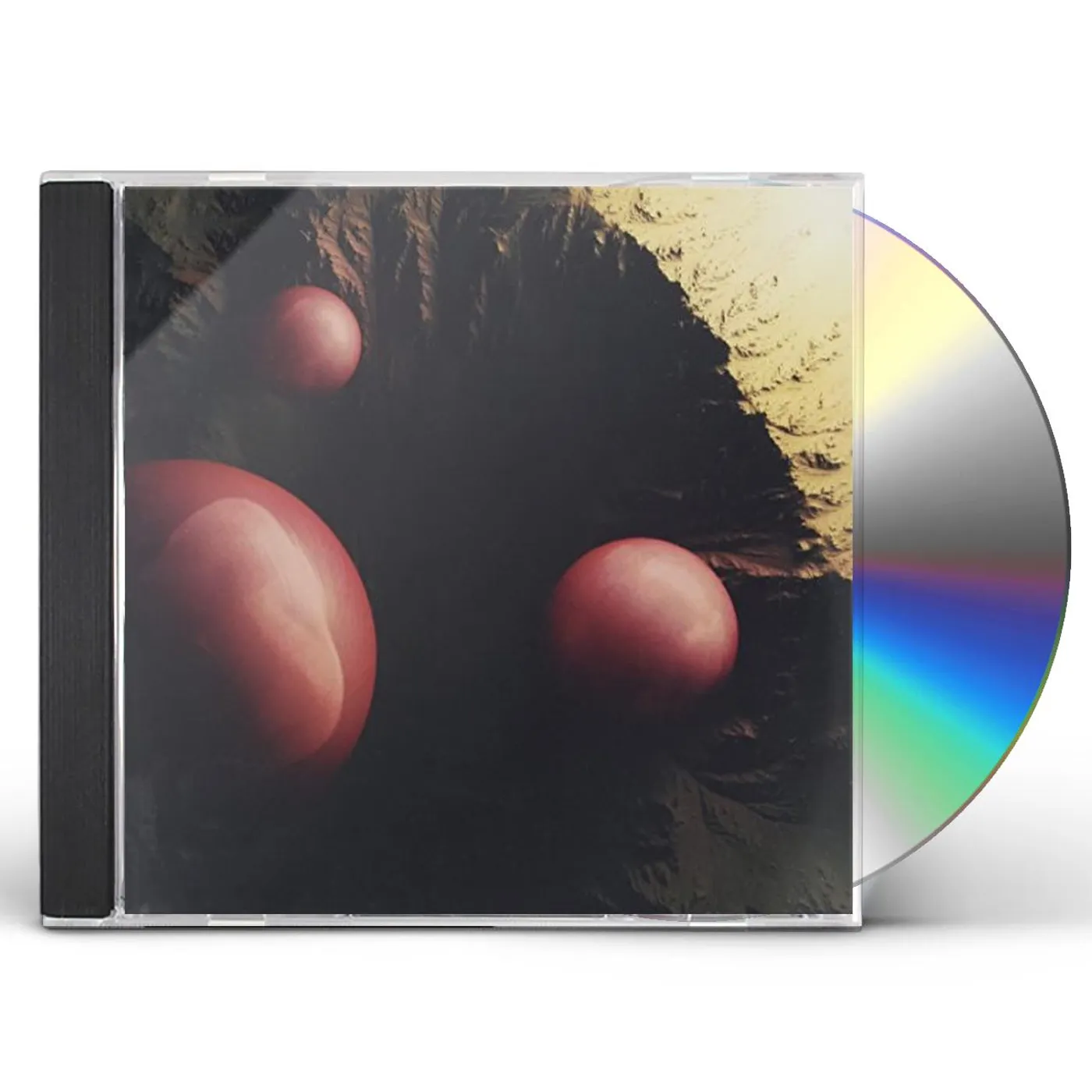 Eruca Sativa BARRO Y FAUNA CD