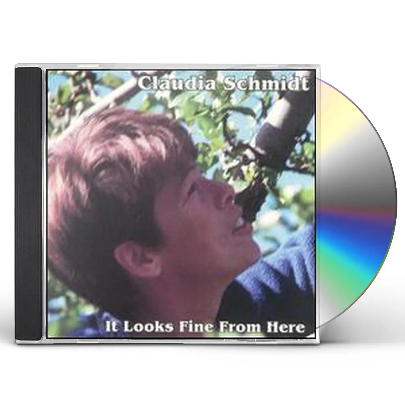 Claudia Schmidt IT LOOKS FINE FROM HERE CD