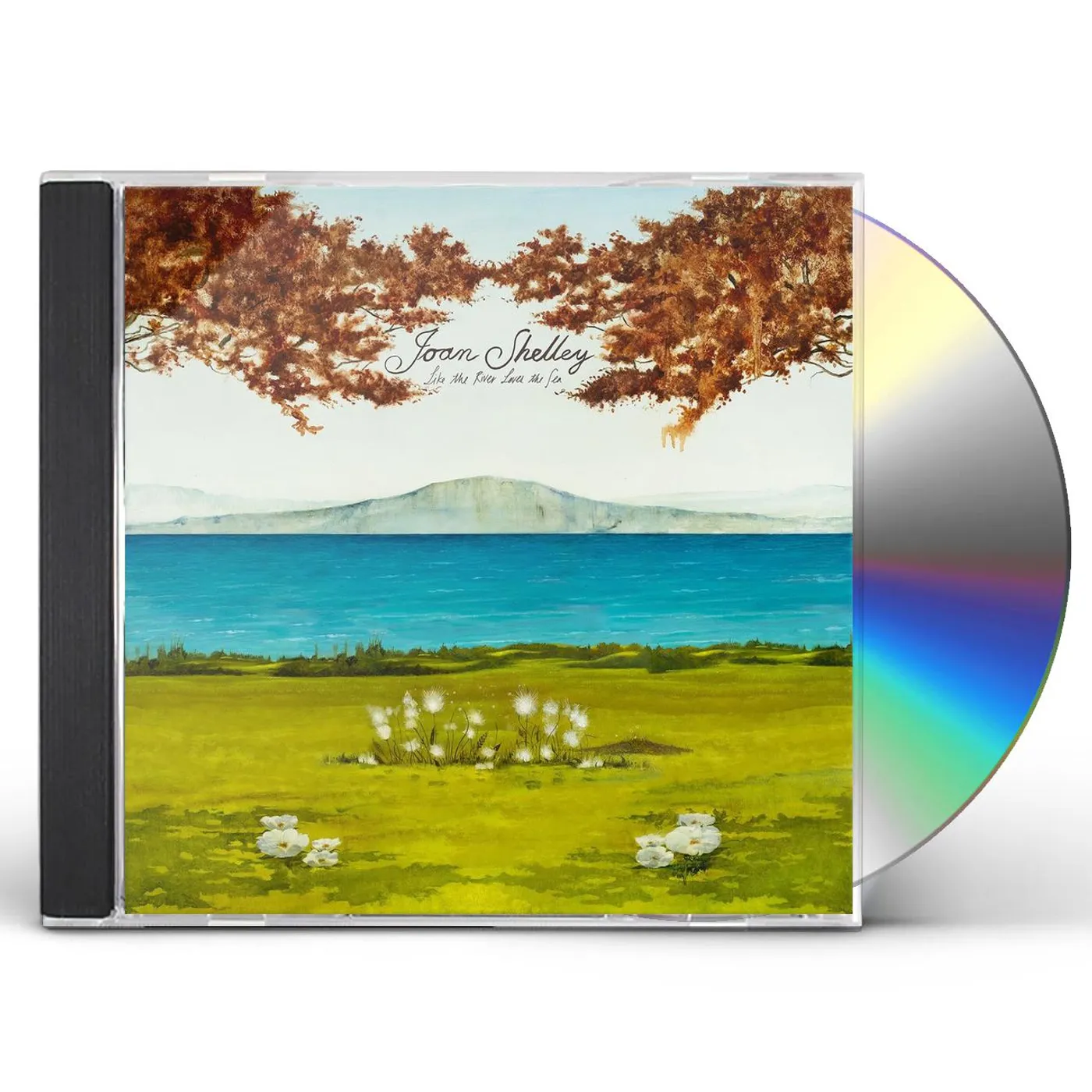 Joan Shelley LIKE THE RIVER LOVES THE SEA CD