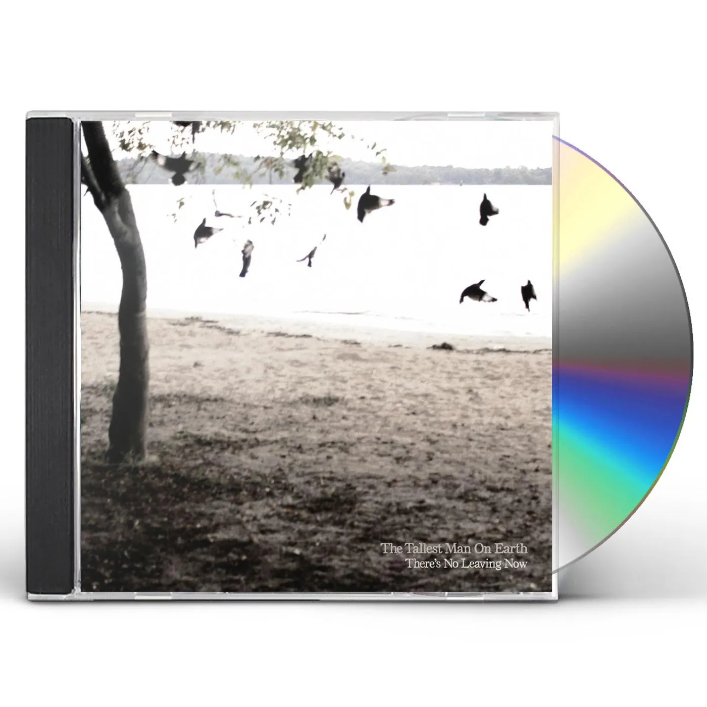 The Tallest Man On Earth THERE'S NO LEAVING NOW CD