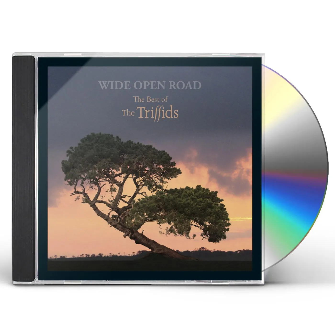 WIDE OPEN ROAD: THE BEST OF THE TRIFFIDS CD