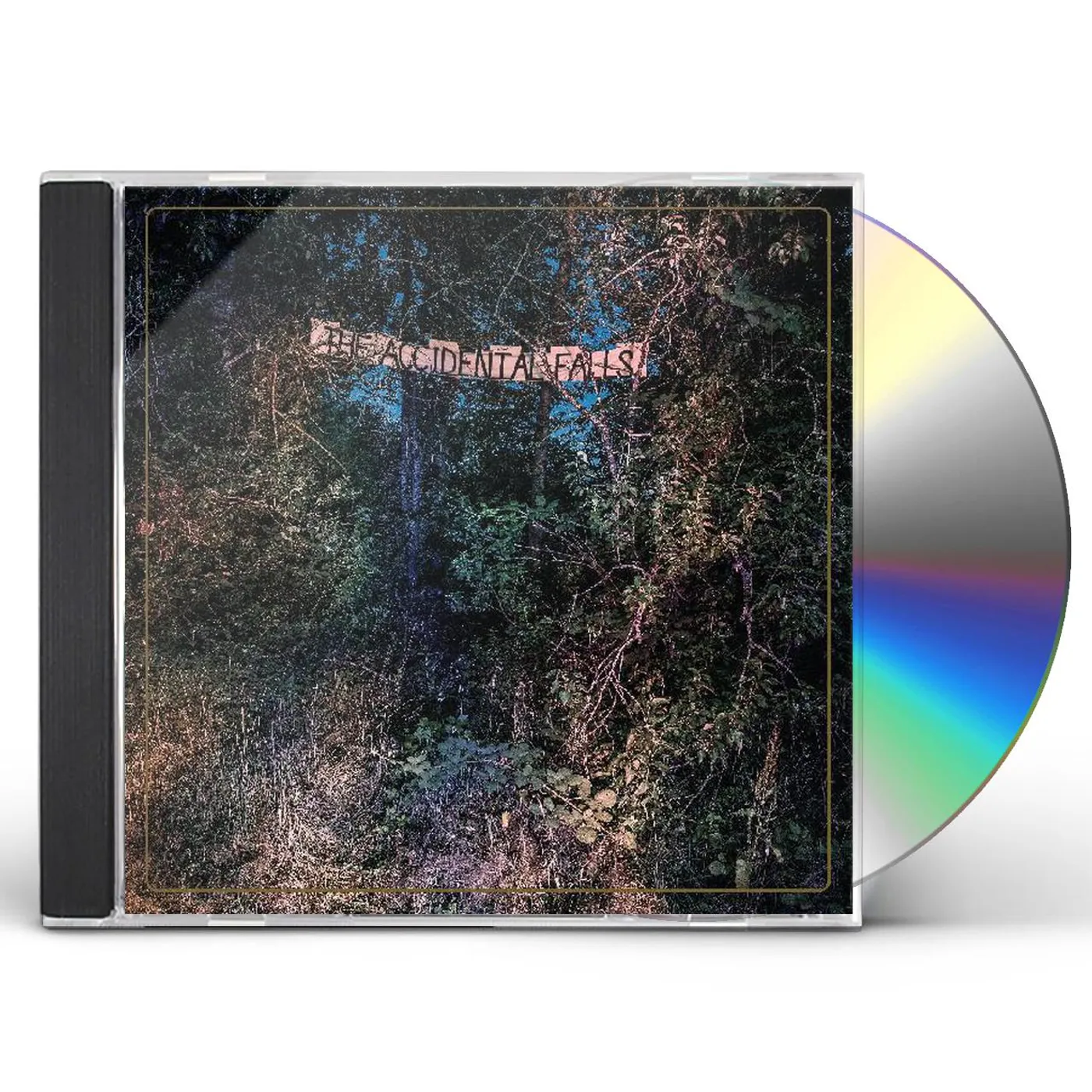 Eyelids ACCIDENTAL FALLS CD